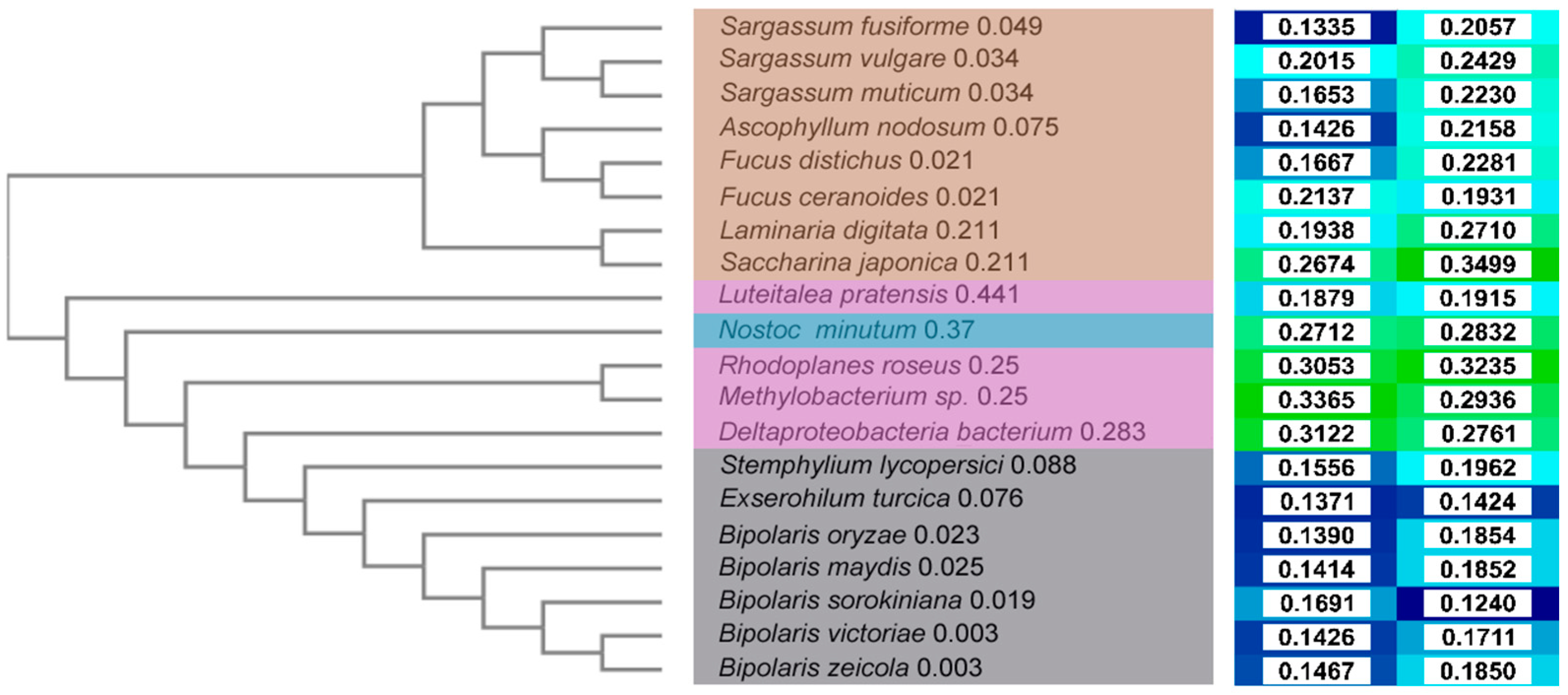 Catalysts 12 01195 g002