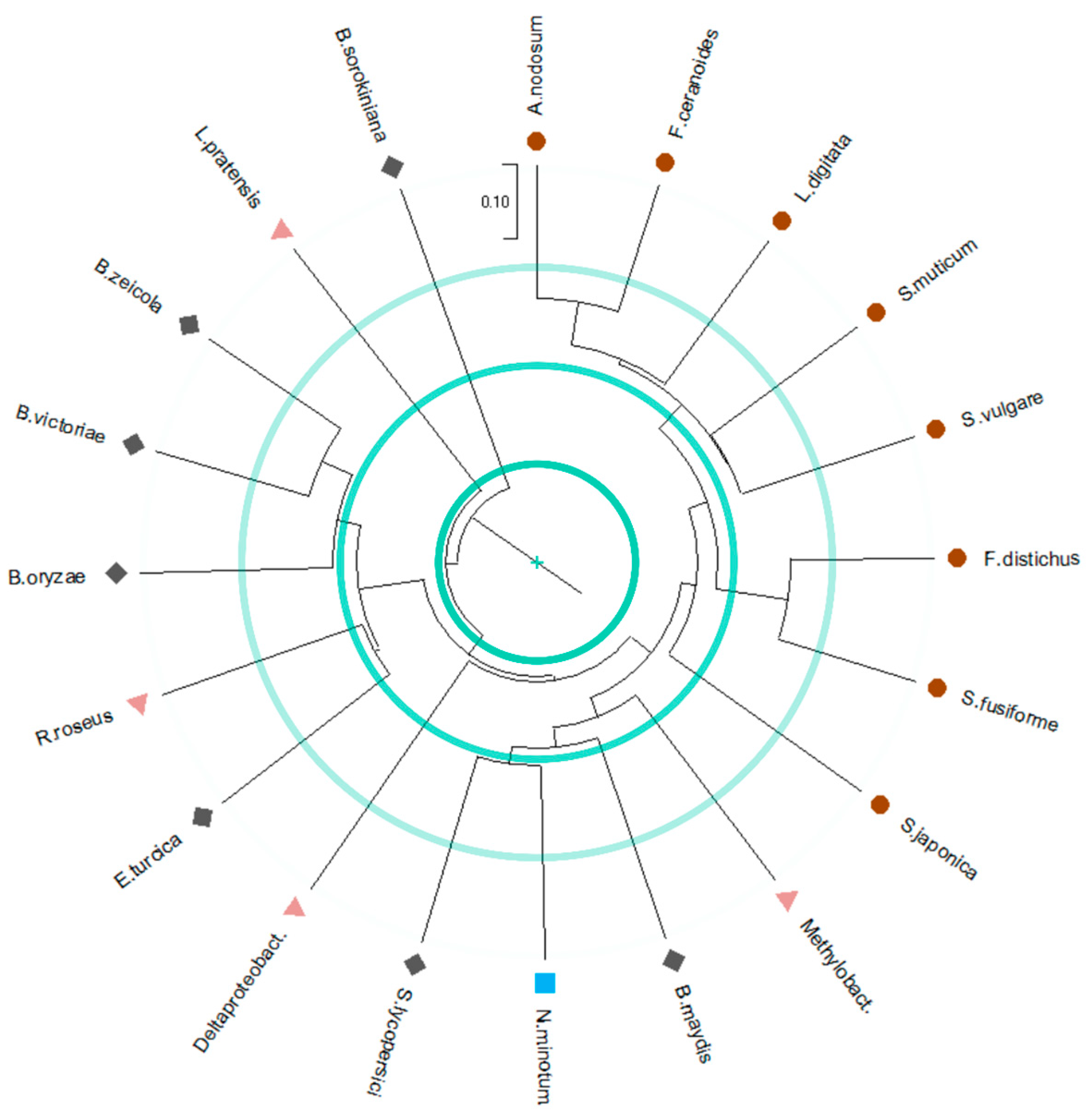 Catalysts 12 01195 g004