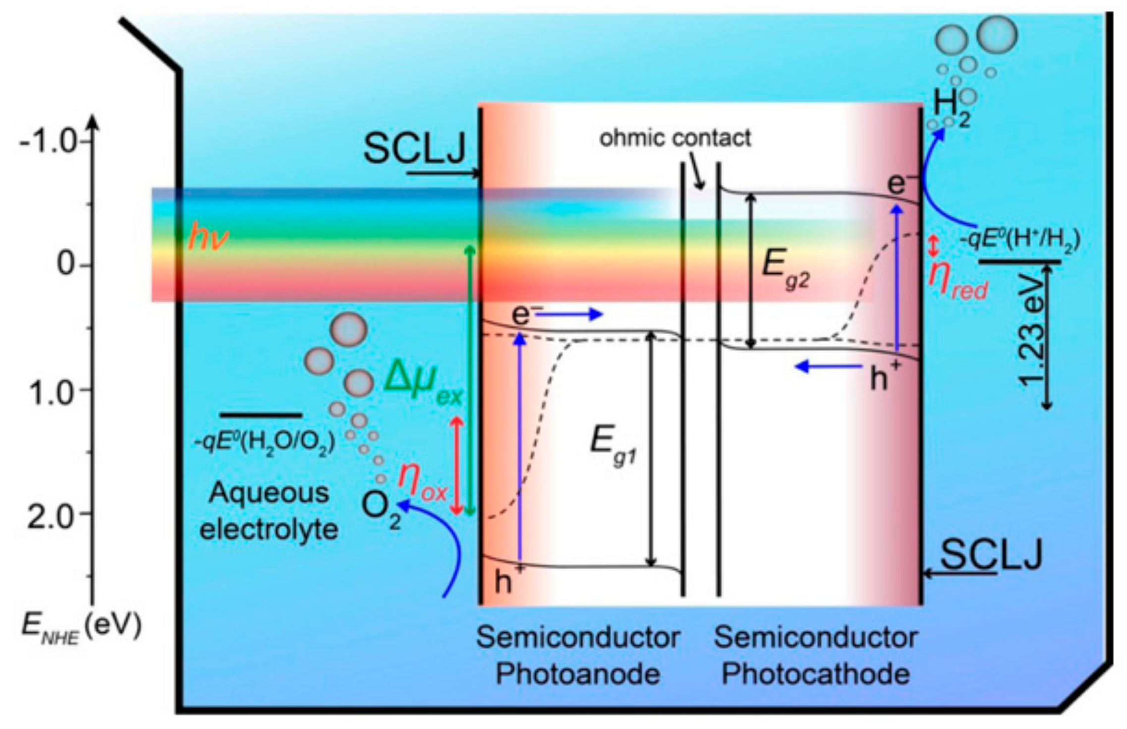 Catalysts 12 01198 g002