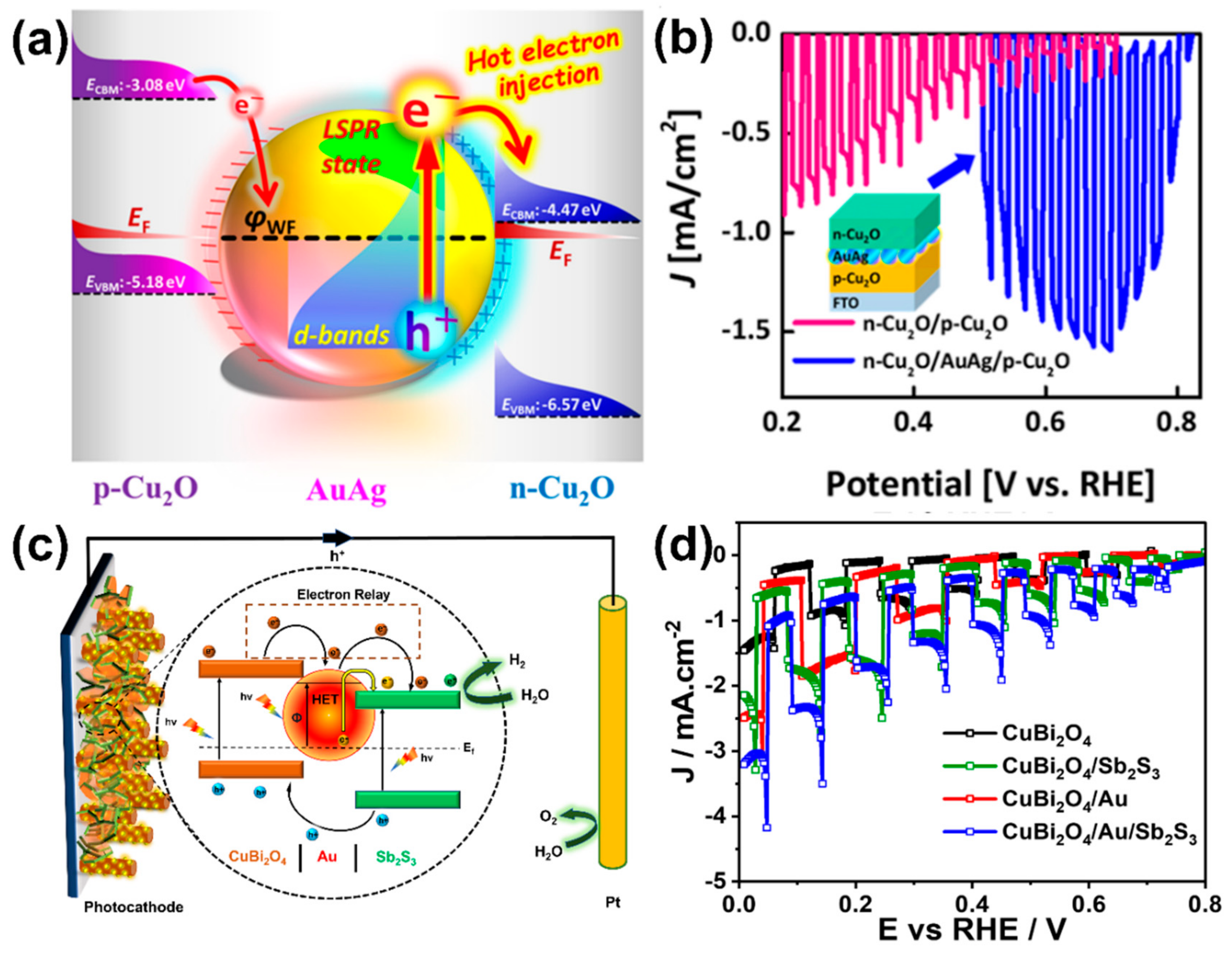 Catalysts 12 01198 g005