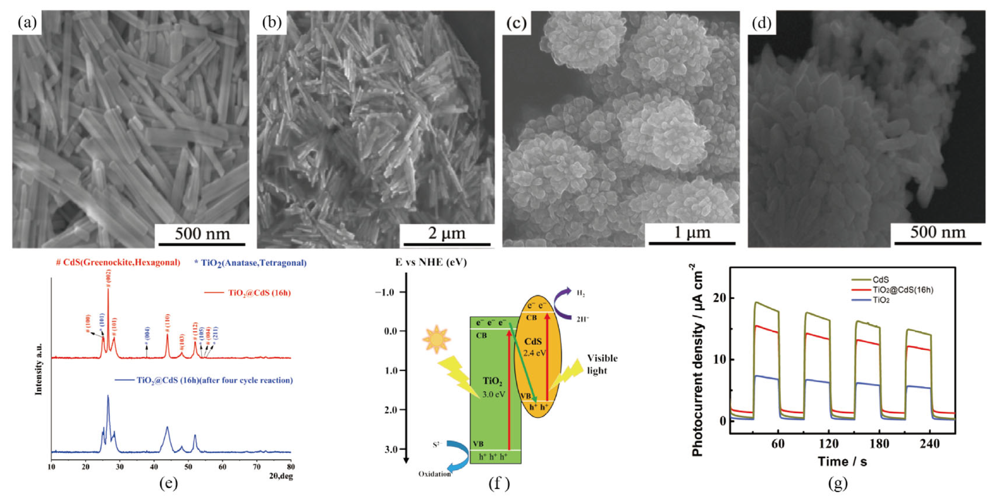 Catalysts 12 01211 g006