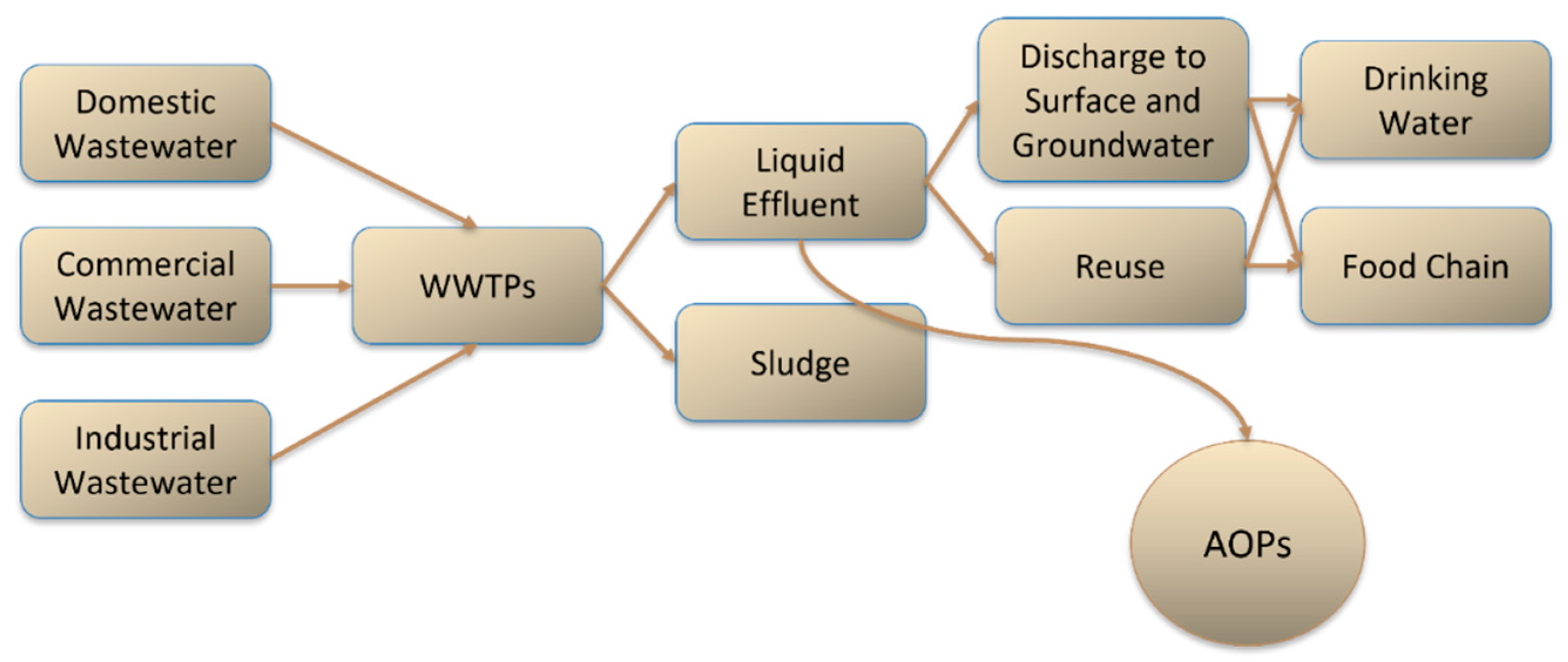 Catalysts 12 01218 g001
