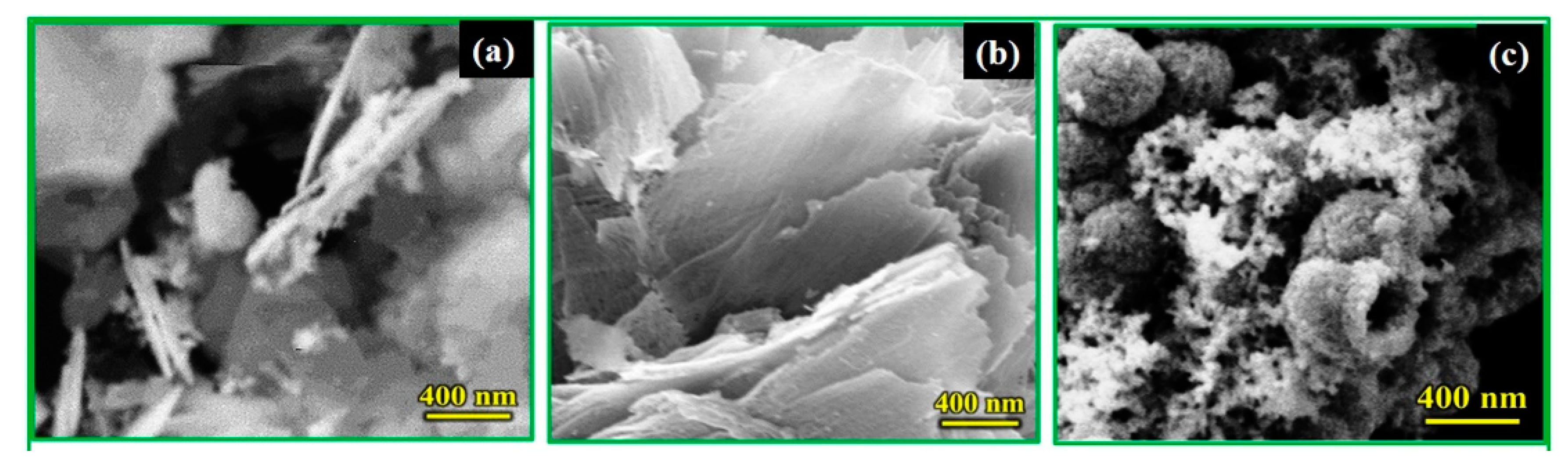 Catalysts 12 01218 g002