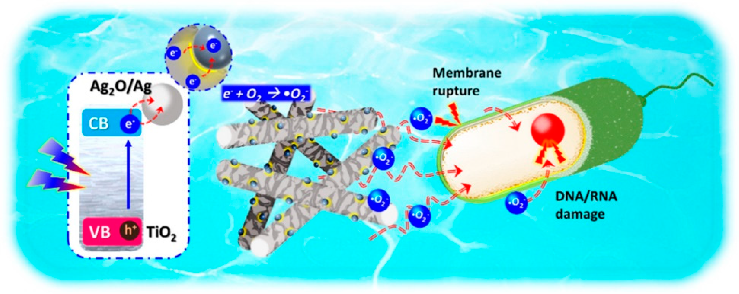 Catalysts 12 01218 g003