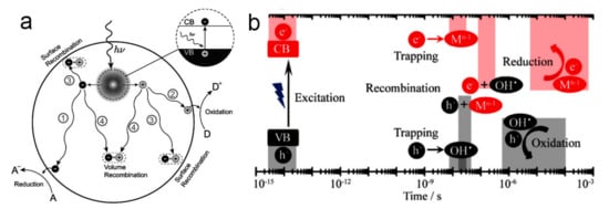 Catalysts 12 01223 g001