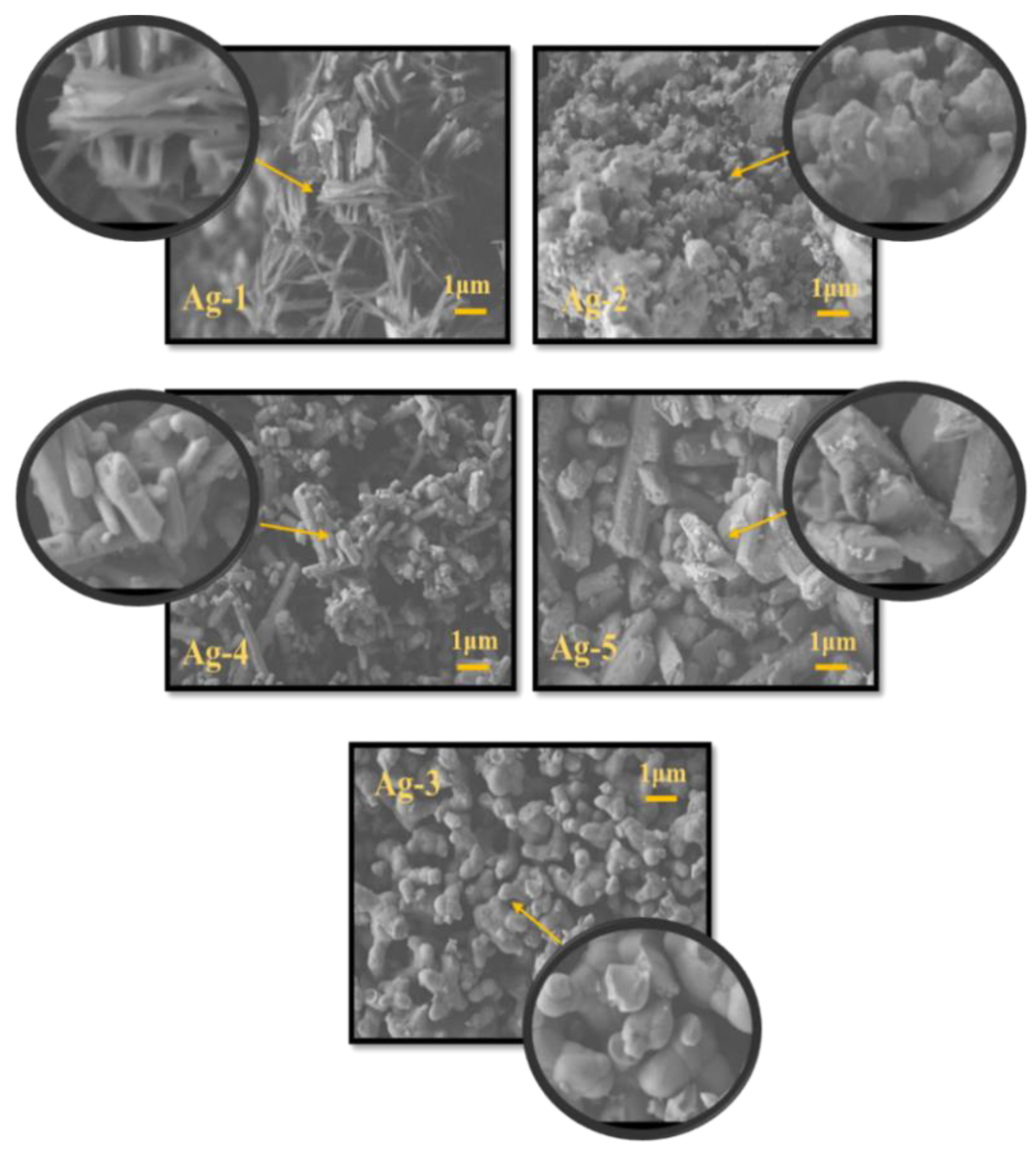Catalysts 12 01226 g002