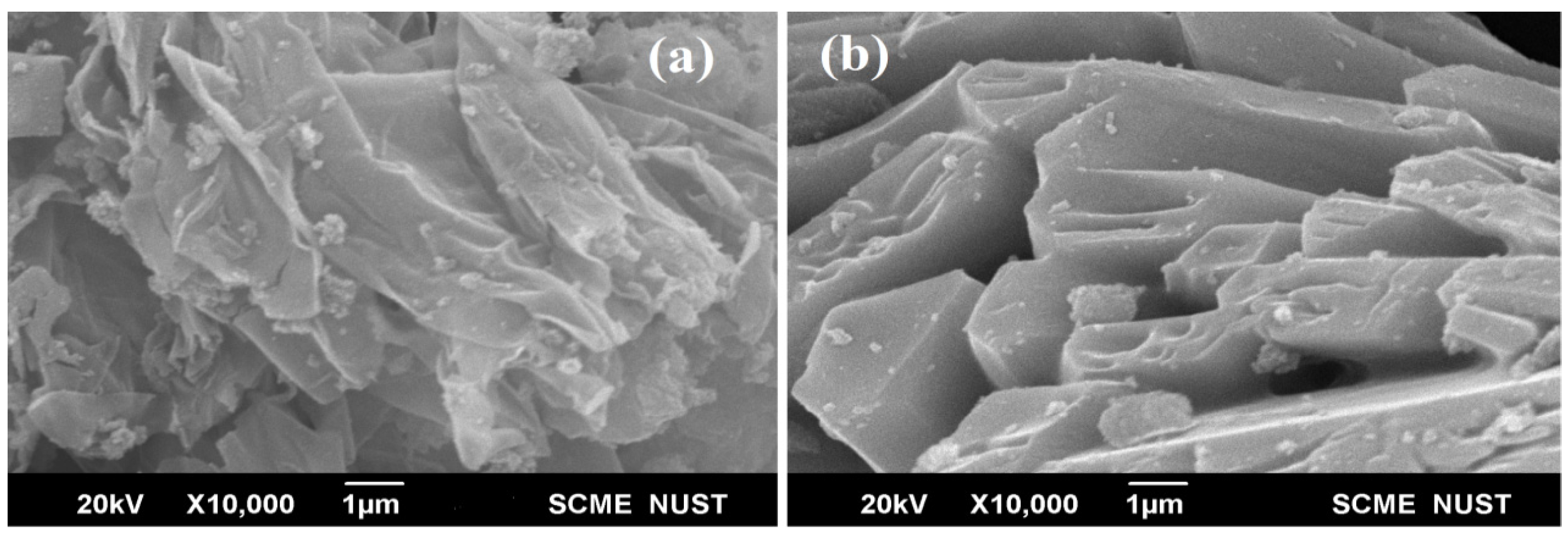 Catalysts 12 01234 g002