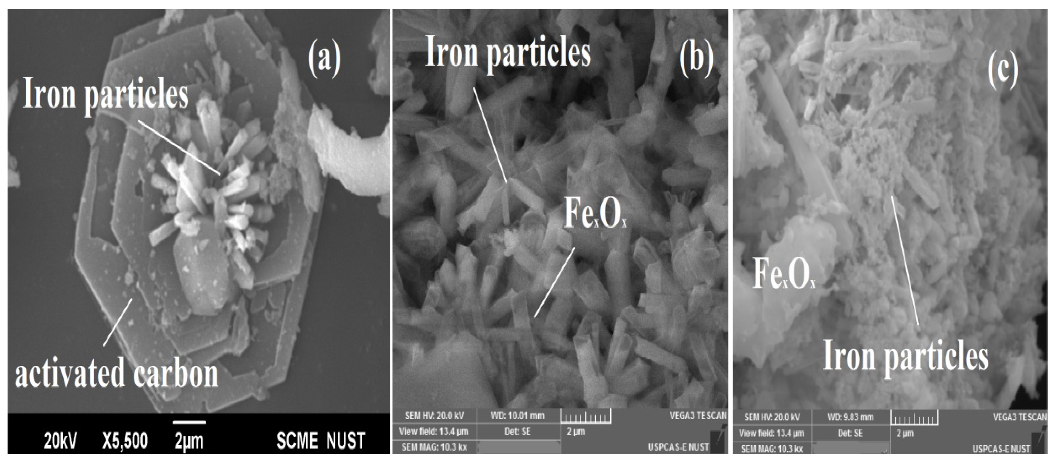Catalysts 12 01234 g003