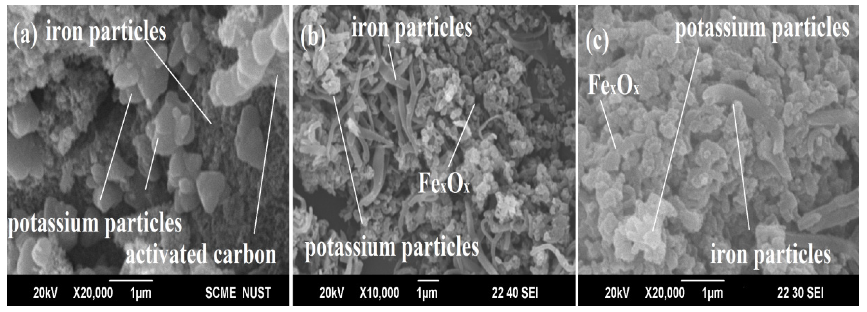 Catalysts 12 01234 g004