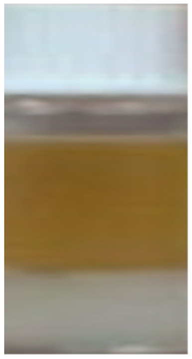 Catalysts 12 01234 g007