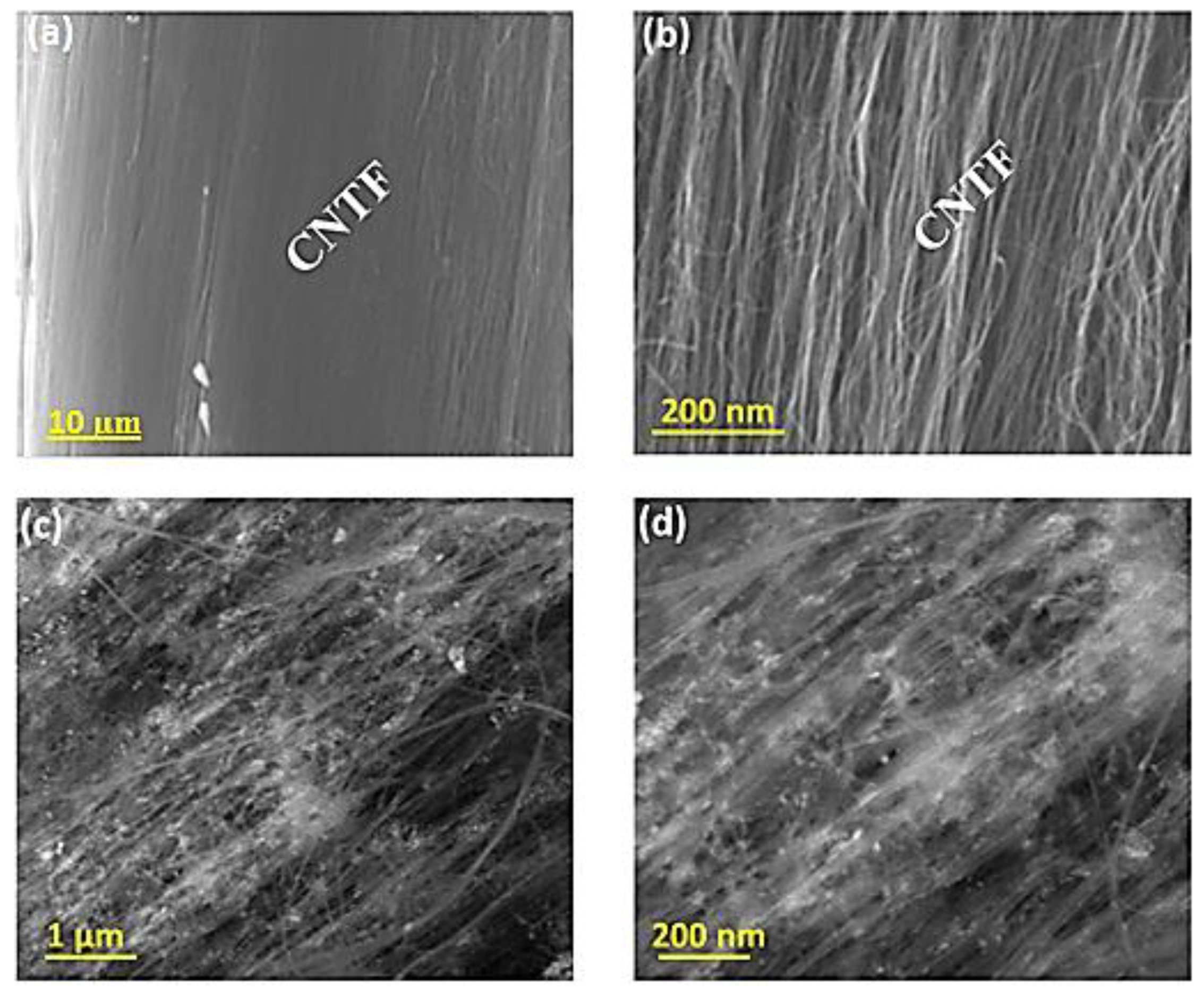 Catalysts 12 01242 g001