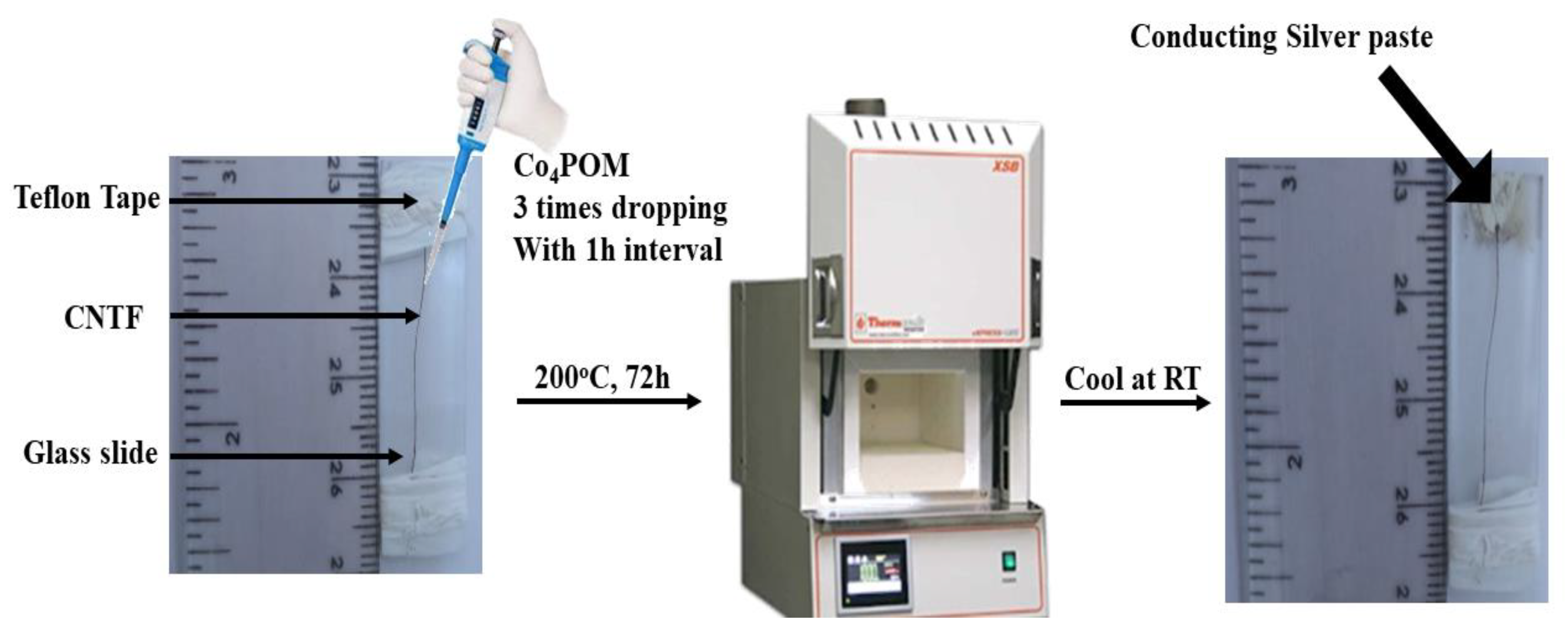 Catalysts 12 01242 g006