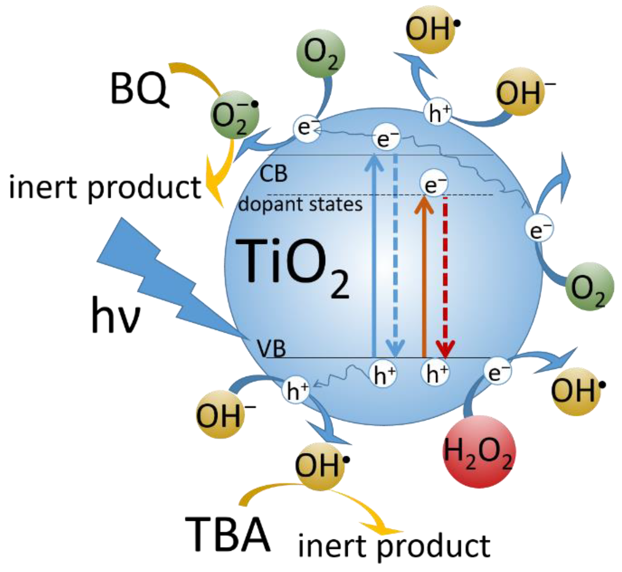 Catalysts 12 01254 g001