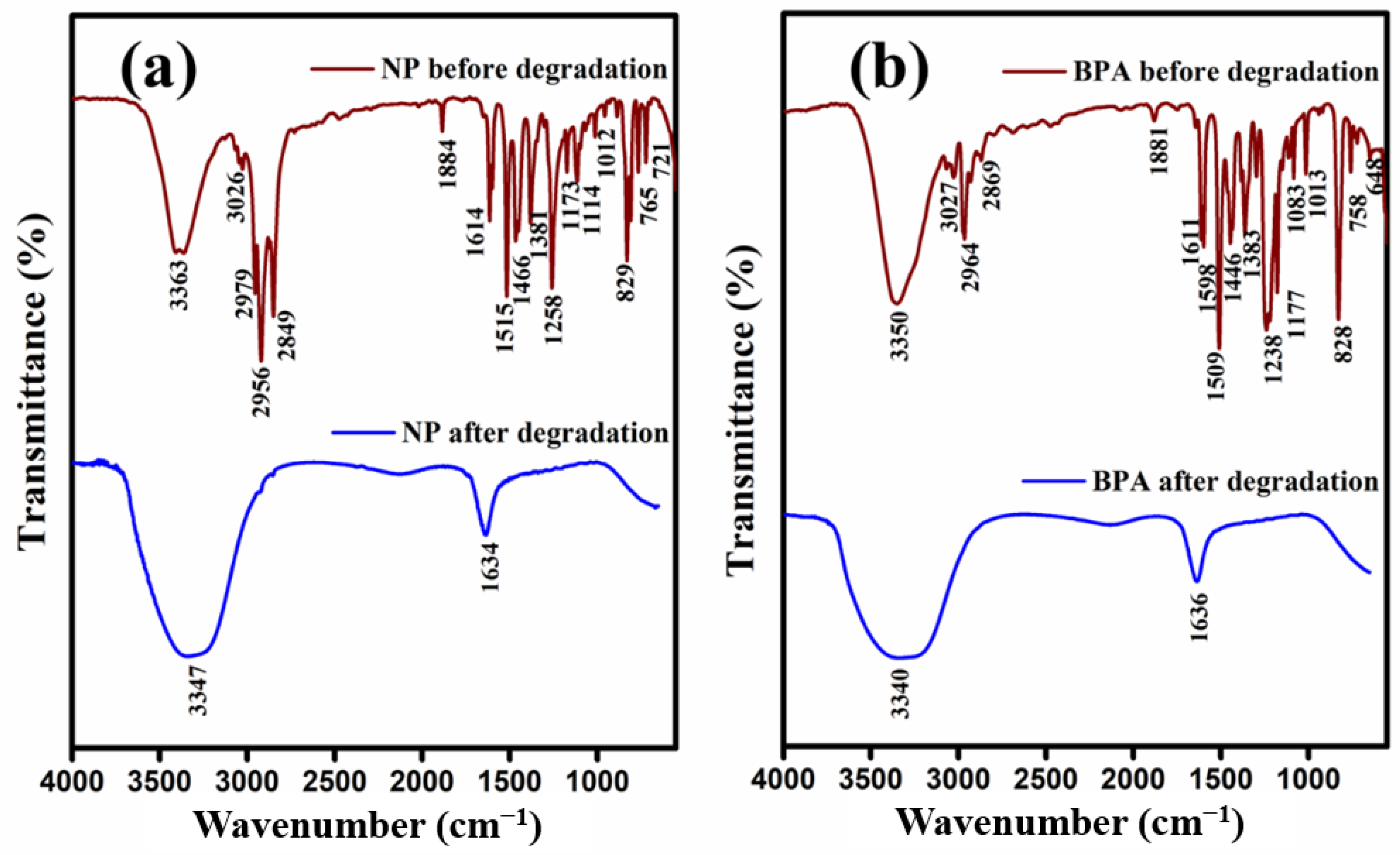 Catalysts 12 01258 g011