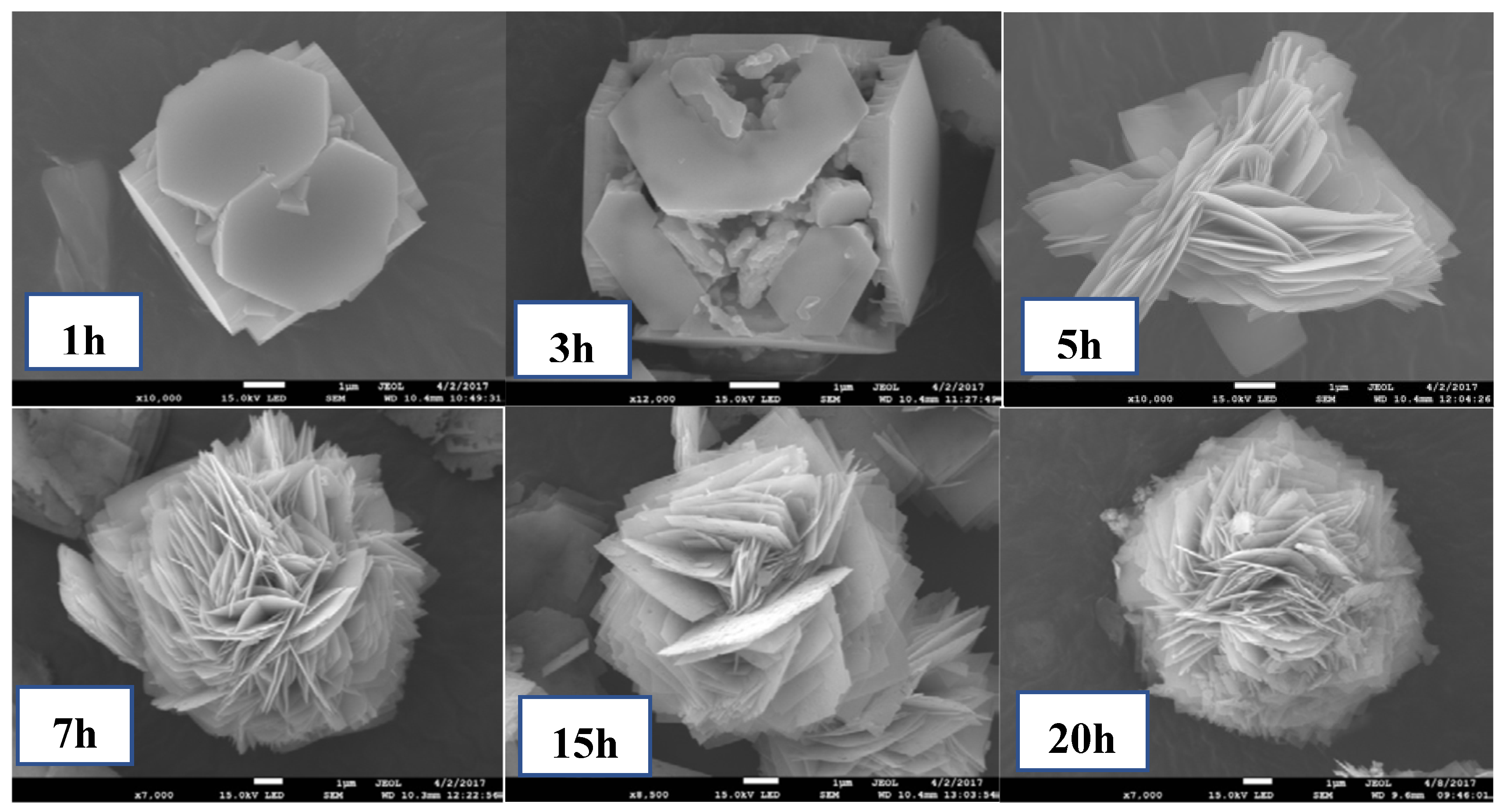 Catalysts 12 01263 g004