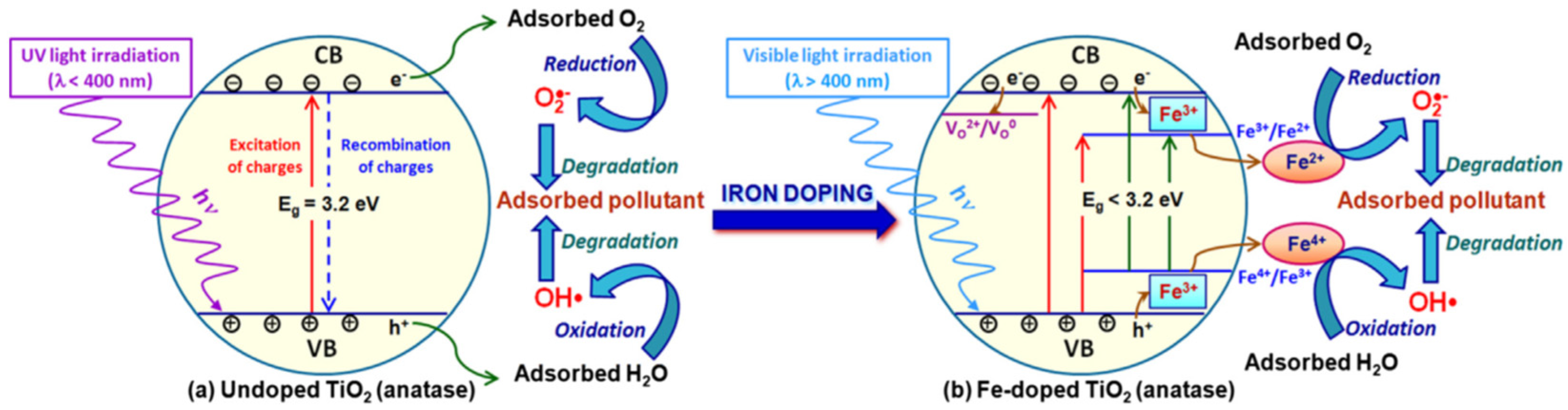 Catalysts 12 01263 g005