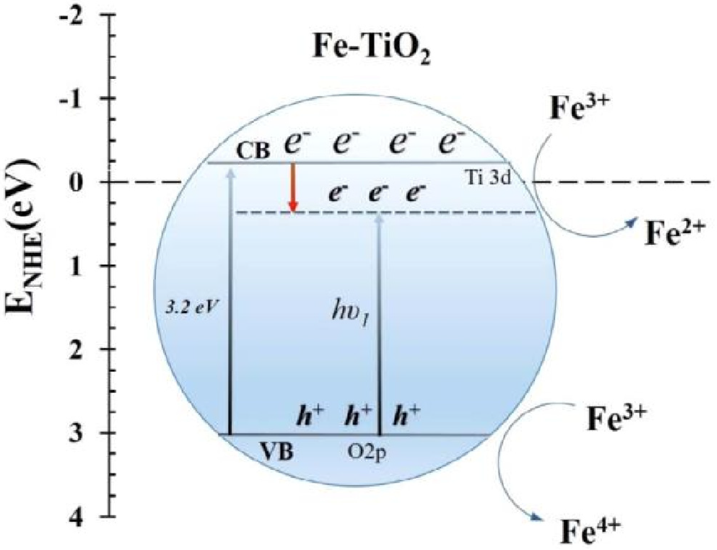 Catalysts 12 01263 g007