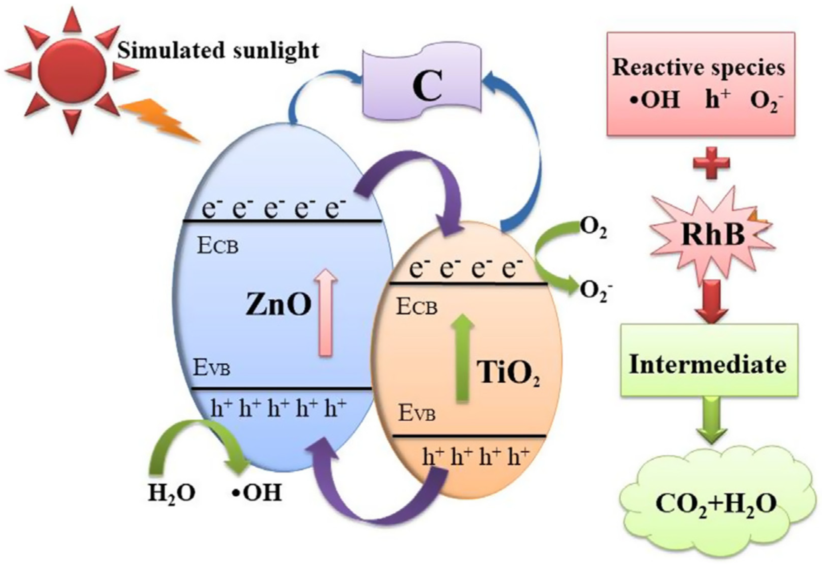 Catalysts 12 01263 g009