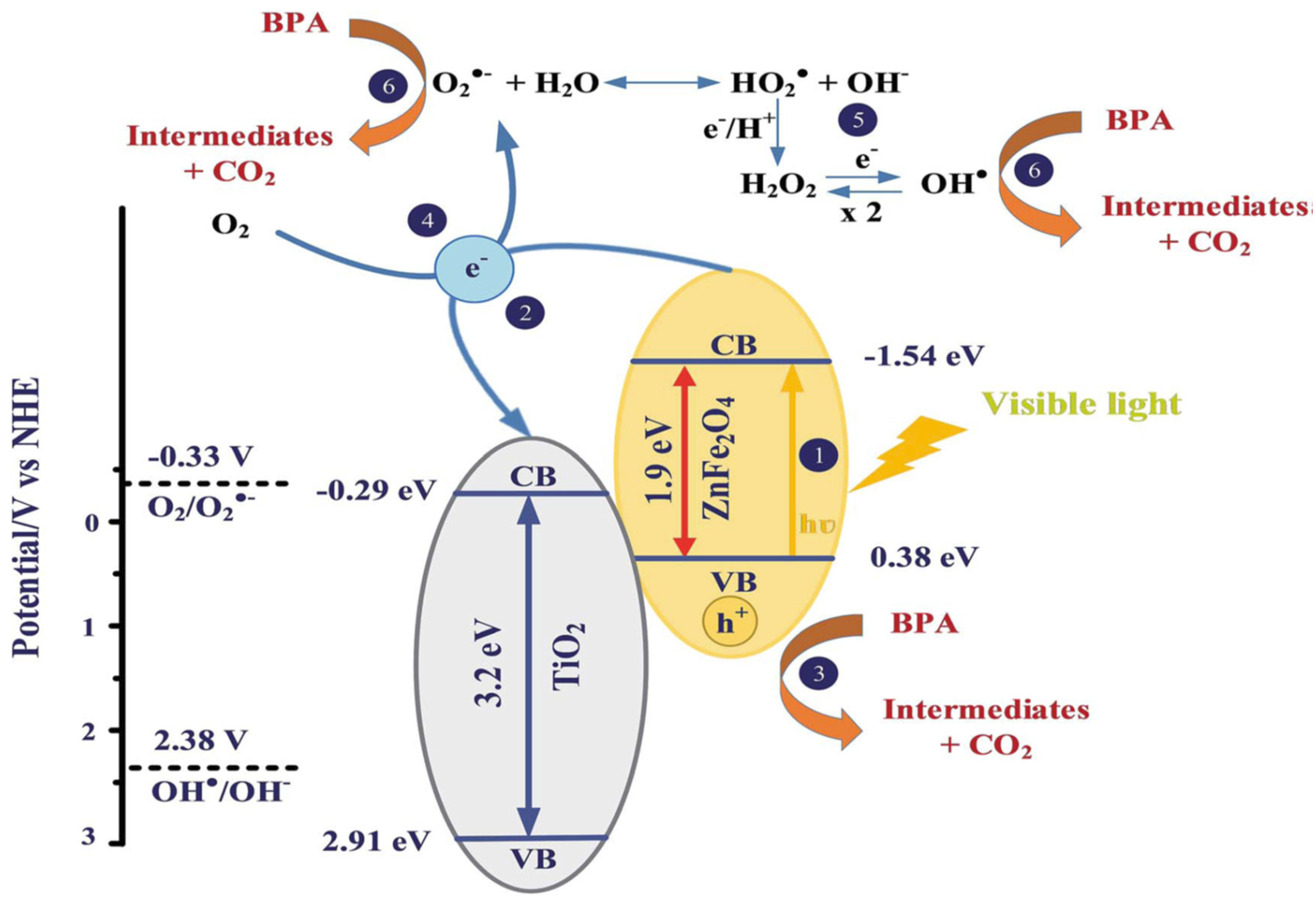 Catalysts 12 01263 g013
