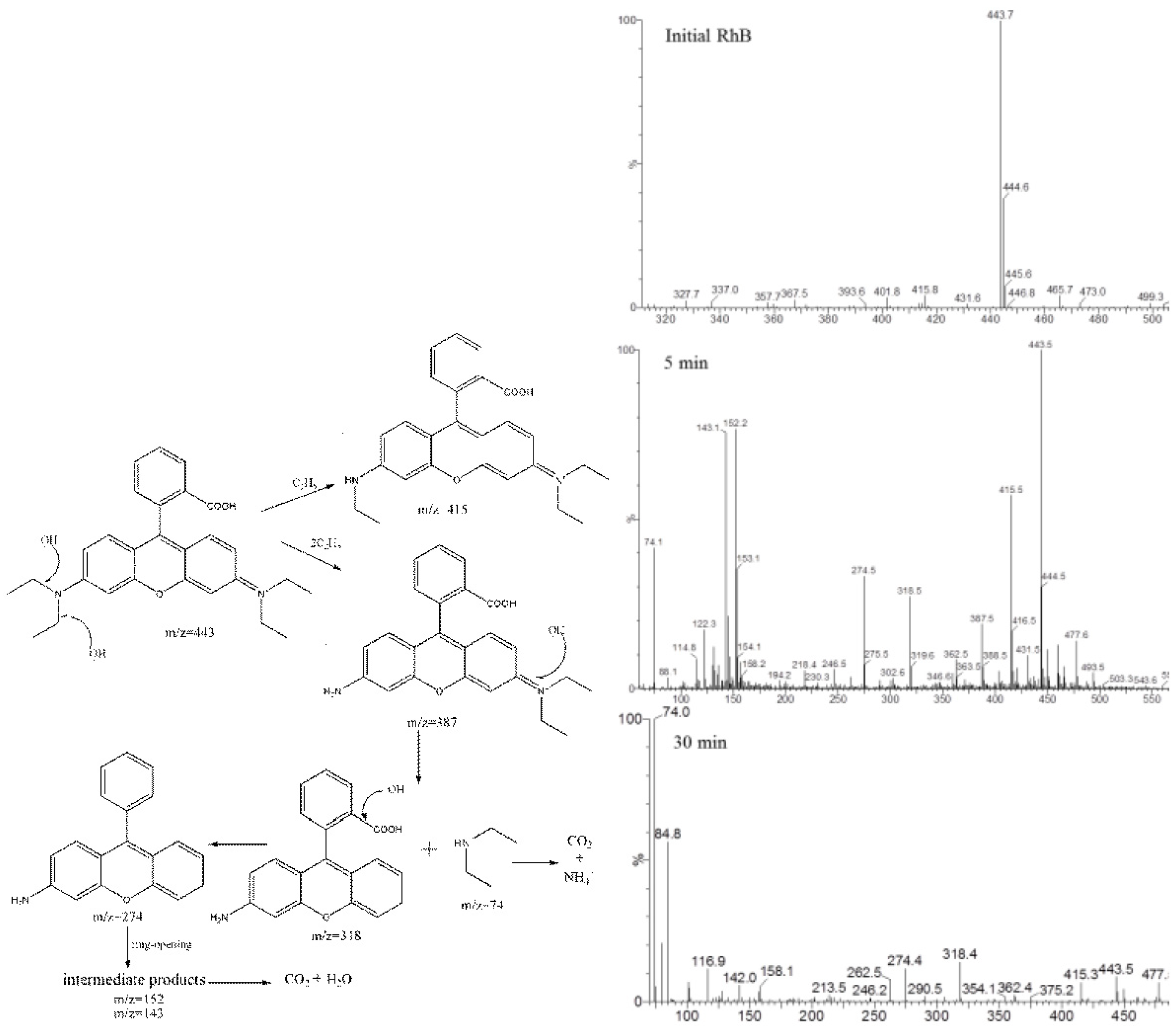 Catalysts 12 01263 g016