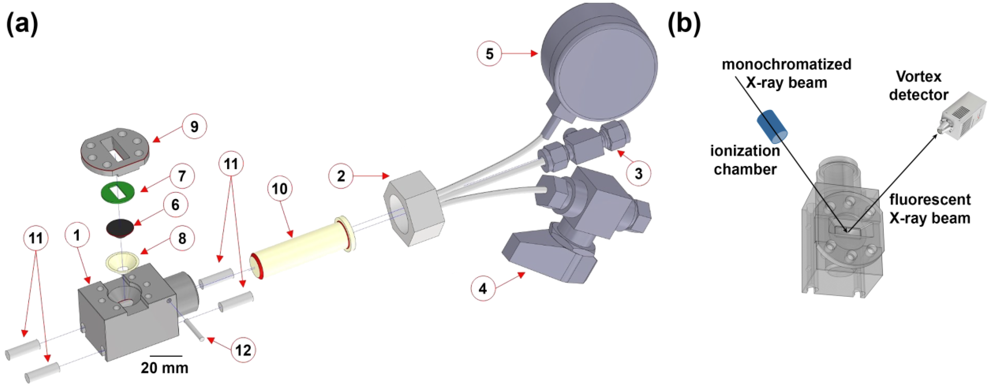 Catalysts 12 01264 g001