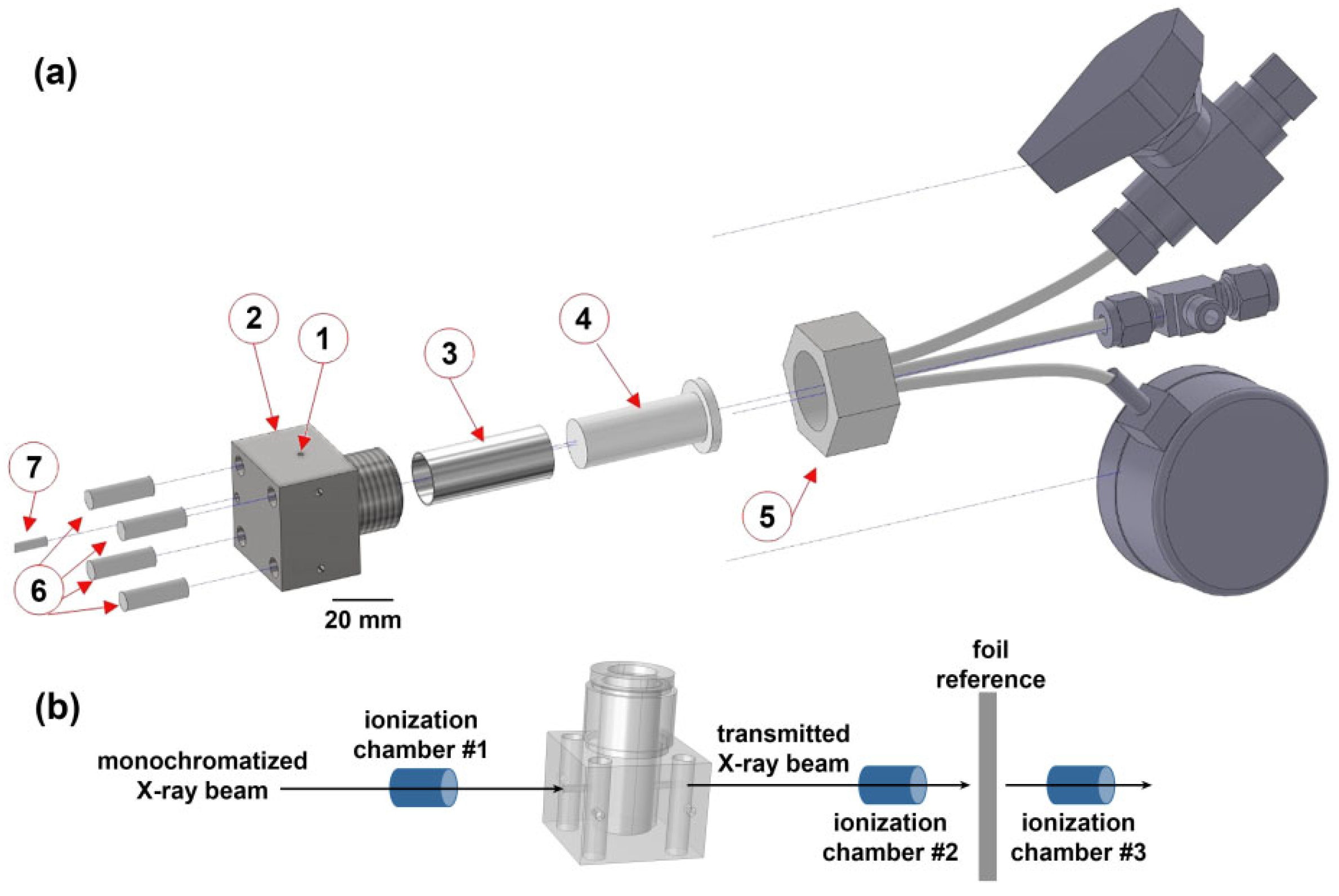 Catalysts 12 01264 g002