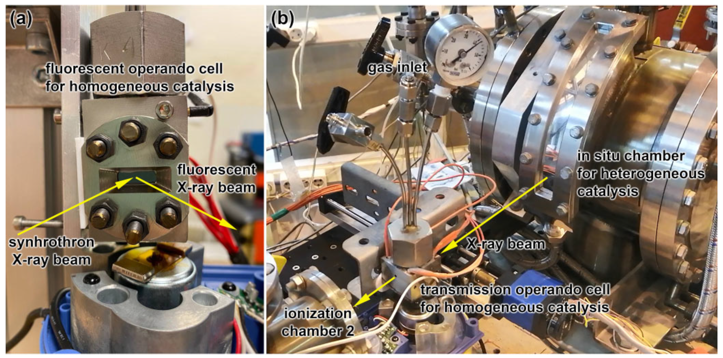 Catalysts 12 01264 g003