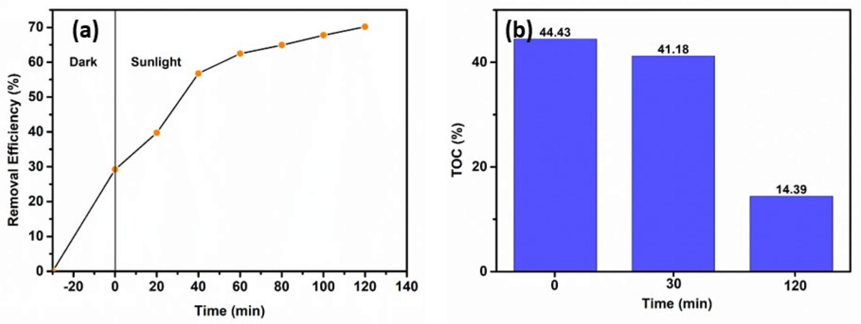 Catalysts 12 01269 g011