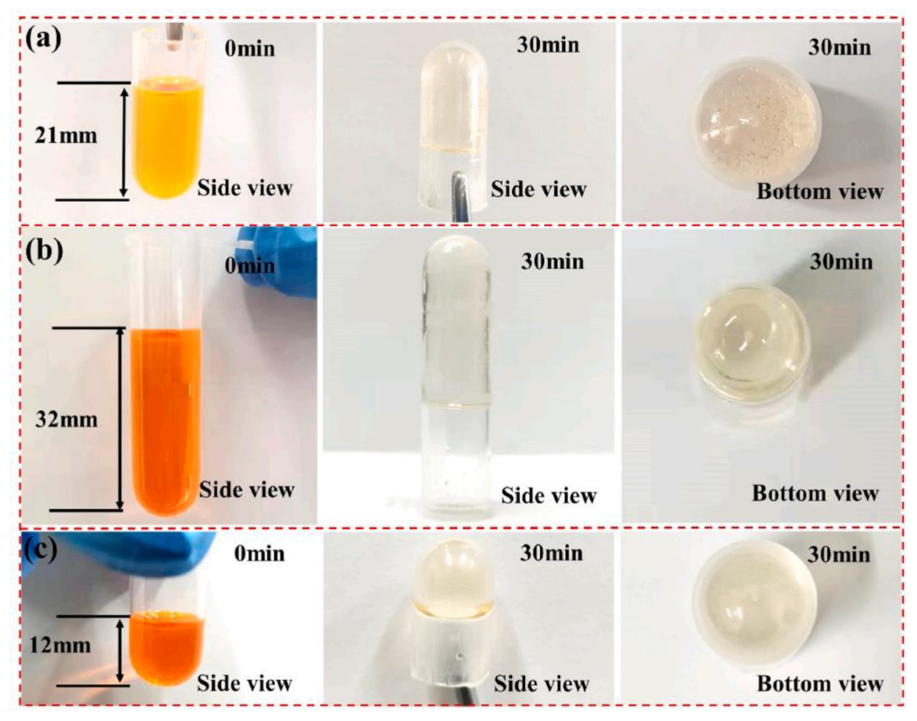 Catalysts 12 01272 g001