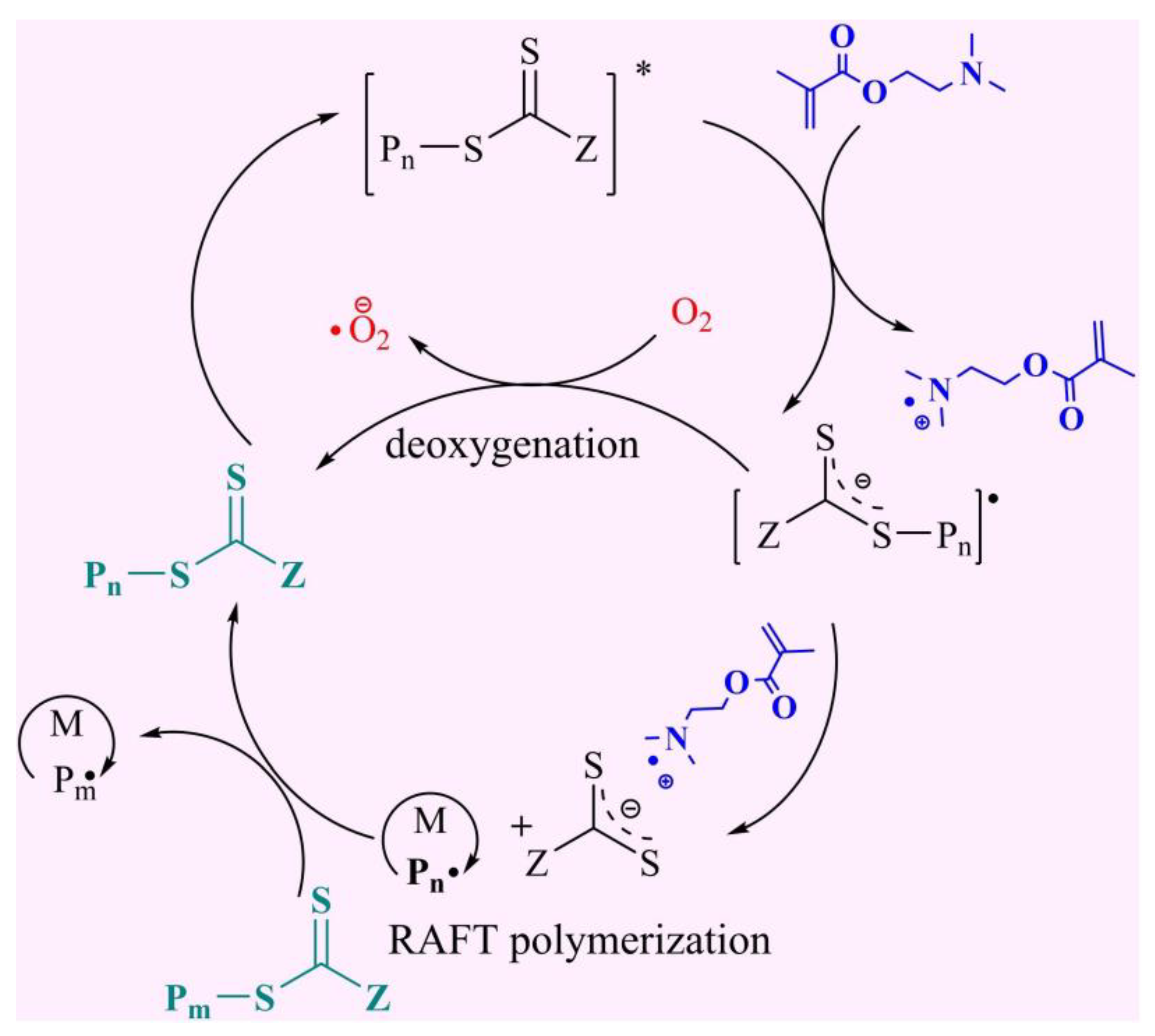 Catalysts 12 01272 g009