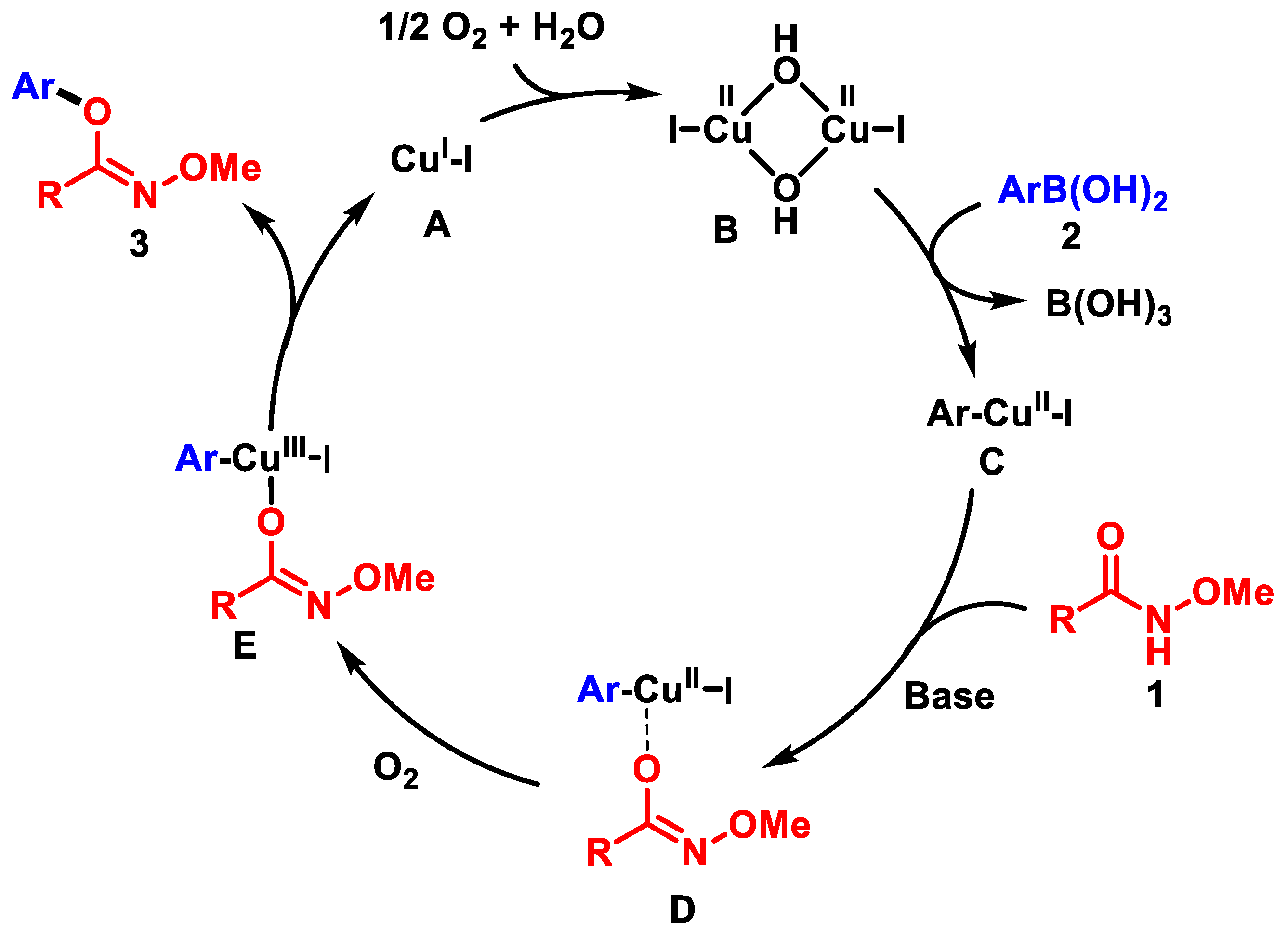 Catalysts 12 01278 g001