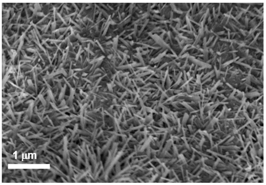 Catalysts 12 01282 g001