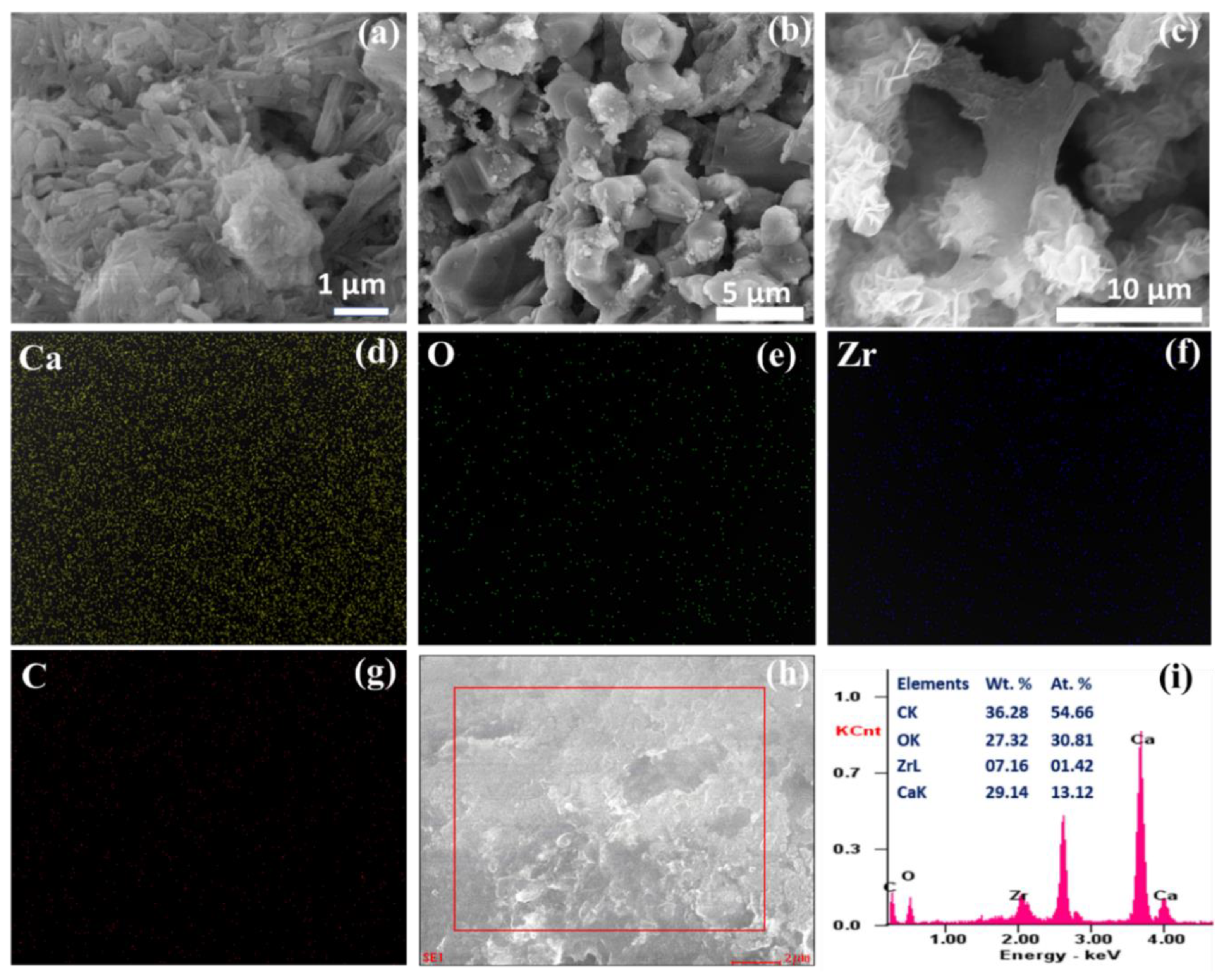 Catalysts 12 01312 g005