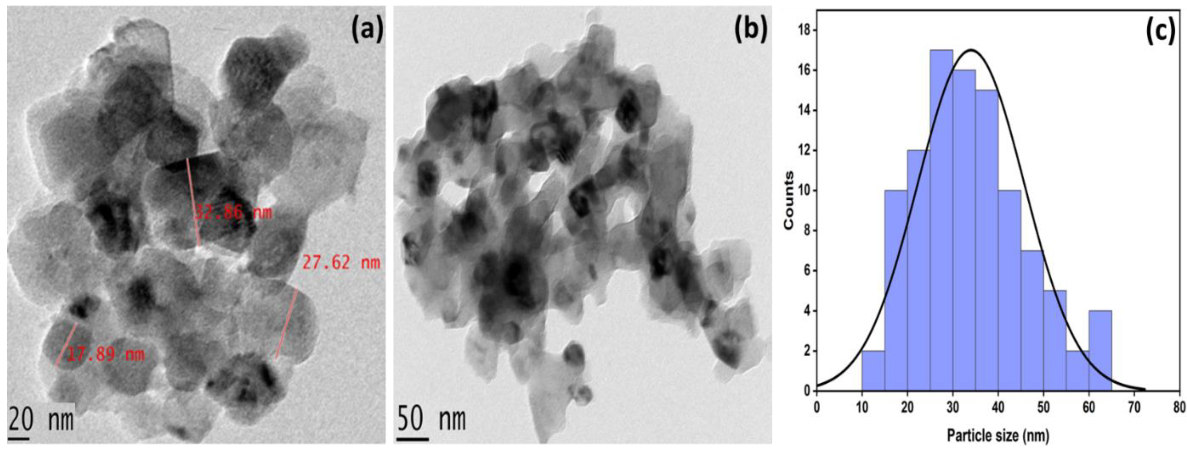 Catalysts 12 01312 g006