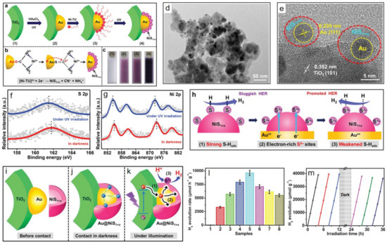 Catalysts 12 01316 g008