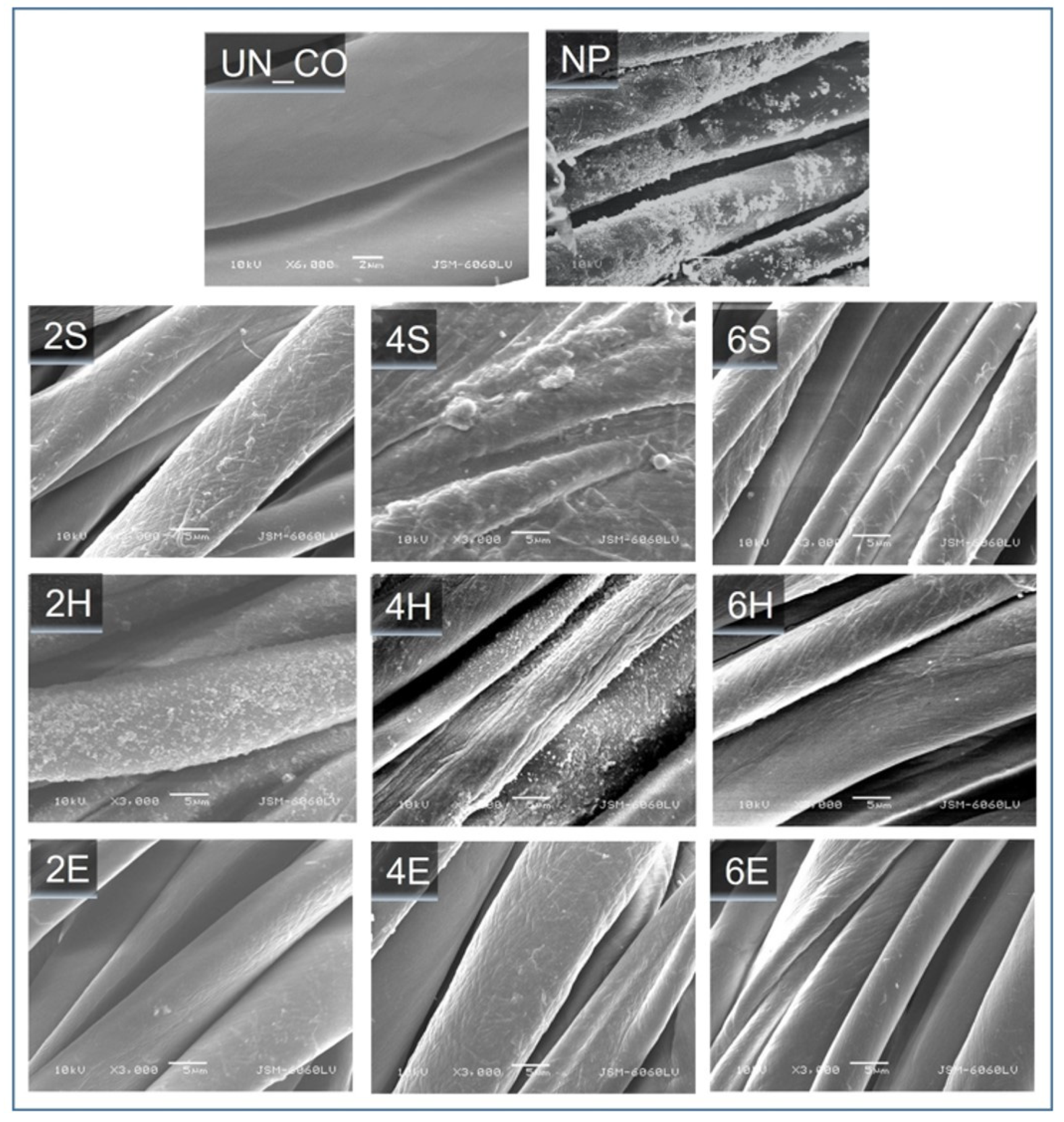 Catalysts 12 01330 g001