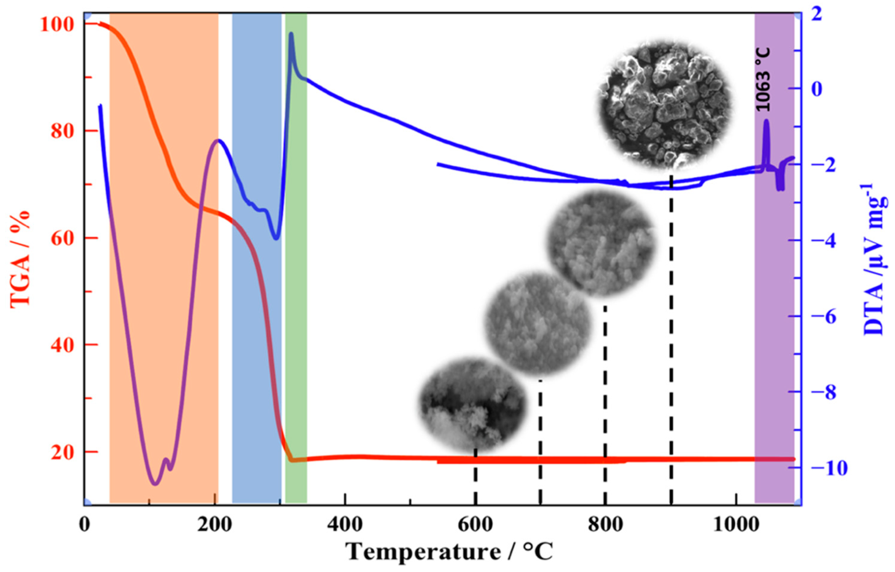 Catalysts 12 01335 g005