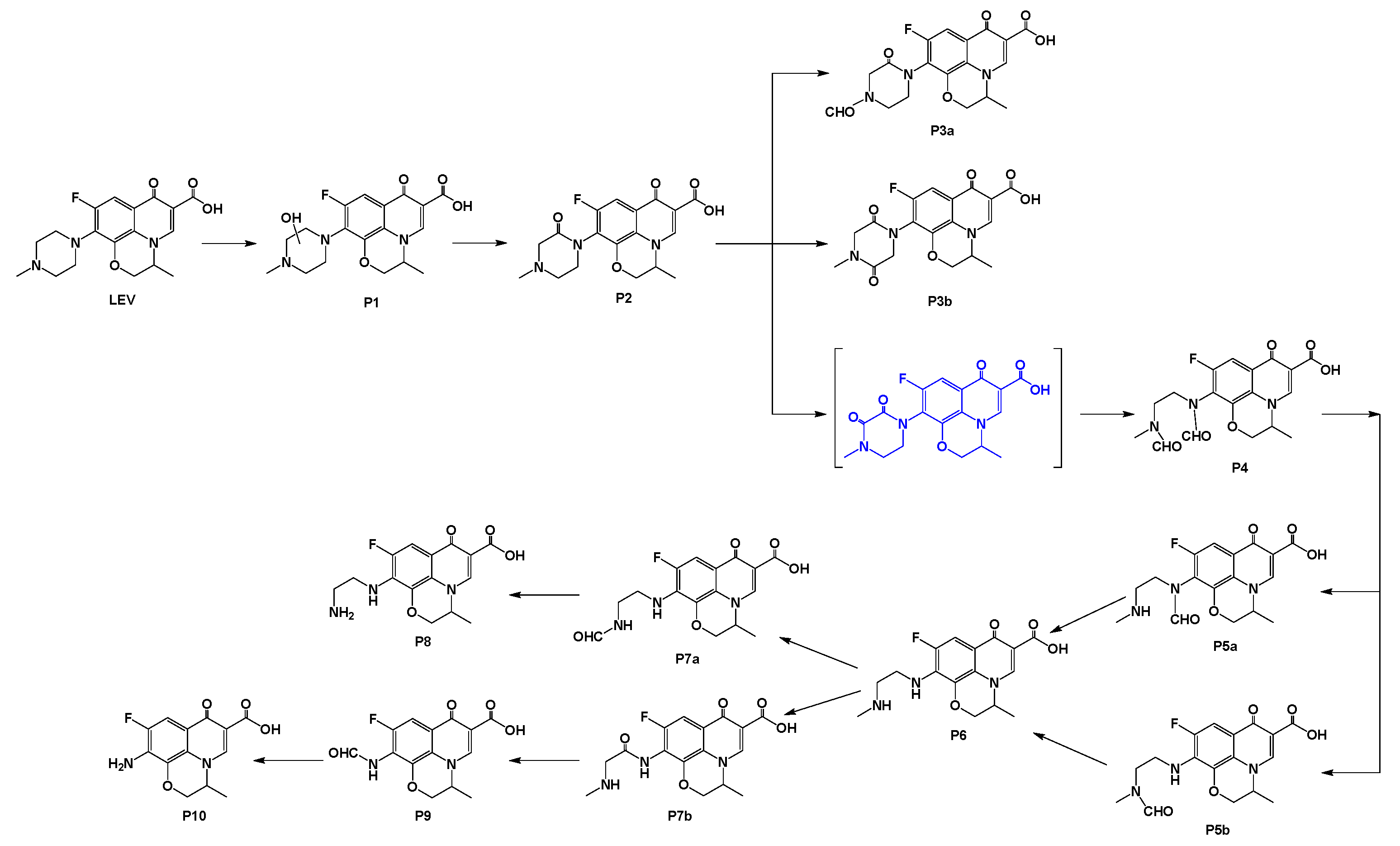 Catalysts 12 01336 g008