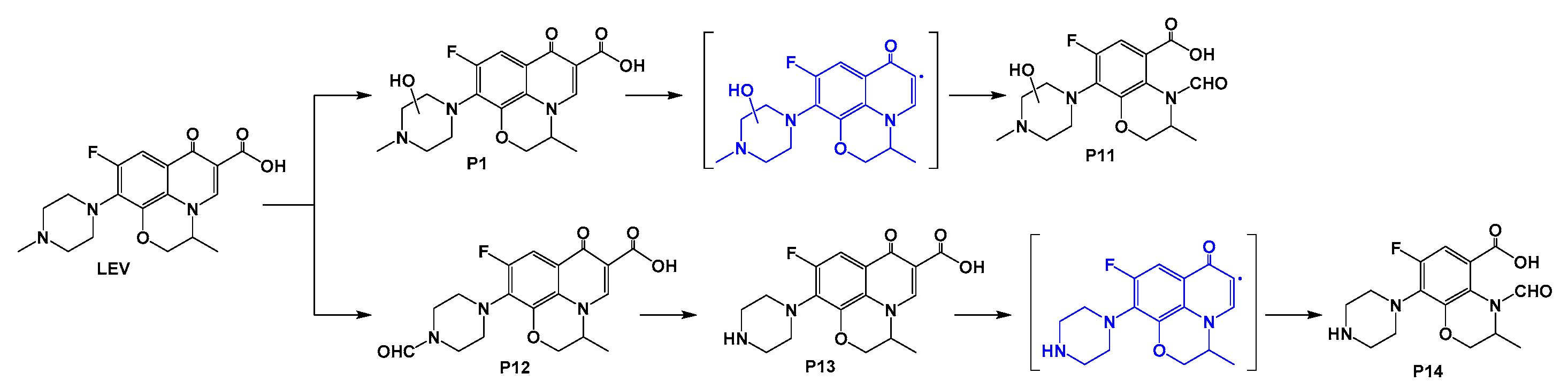 Catalysts 12 01336 g009