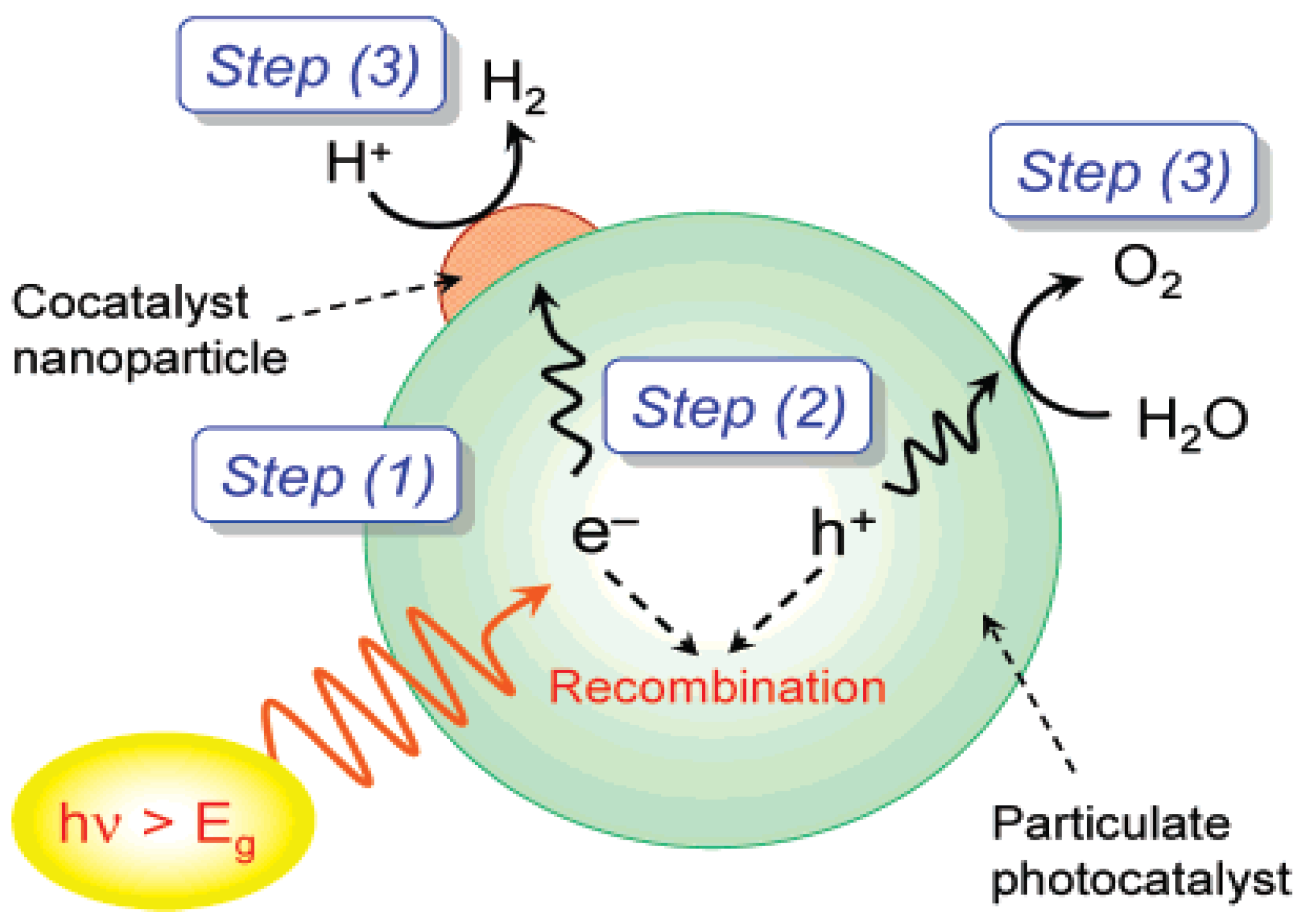 Catalysts 12 01338 g001 Catalysts 12 01338 g001