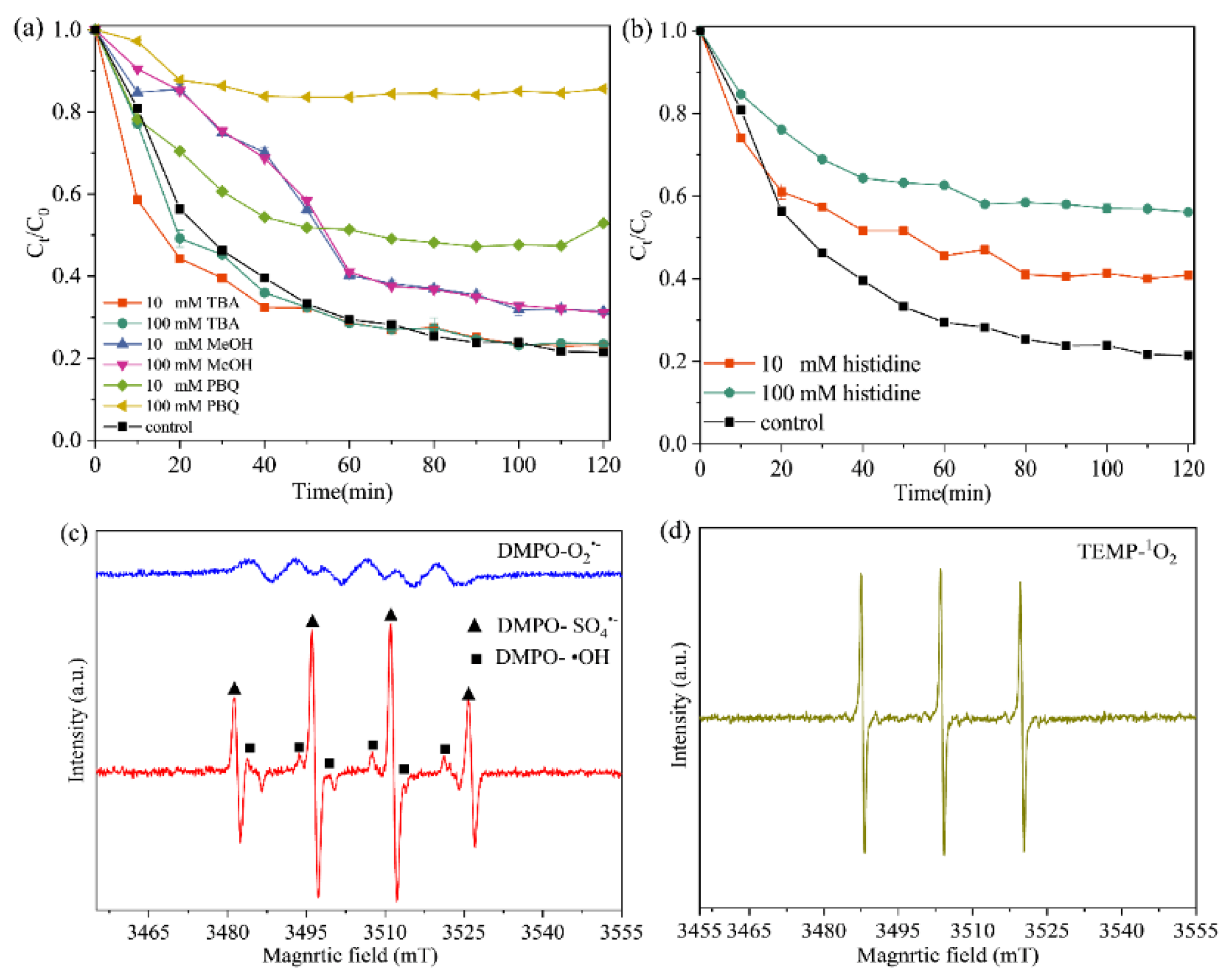 Catalysts 12 01345 g003