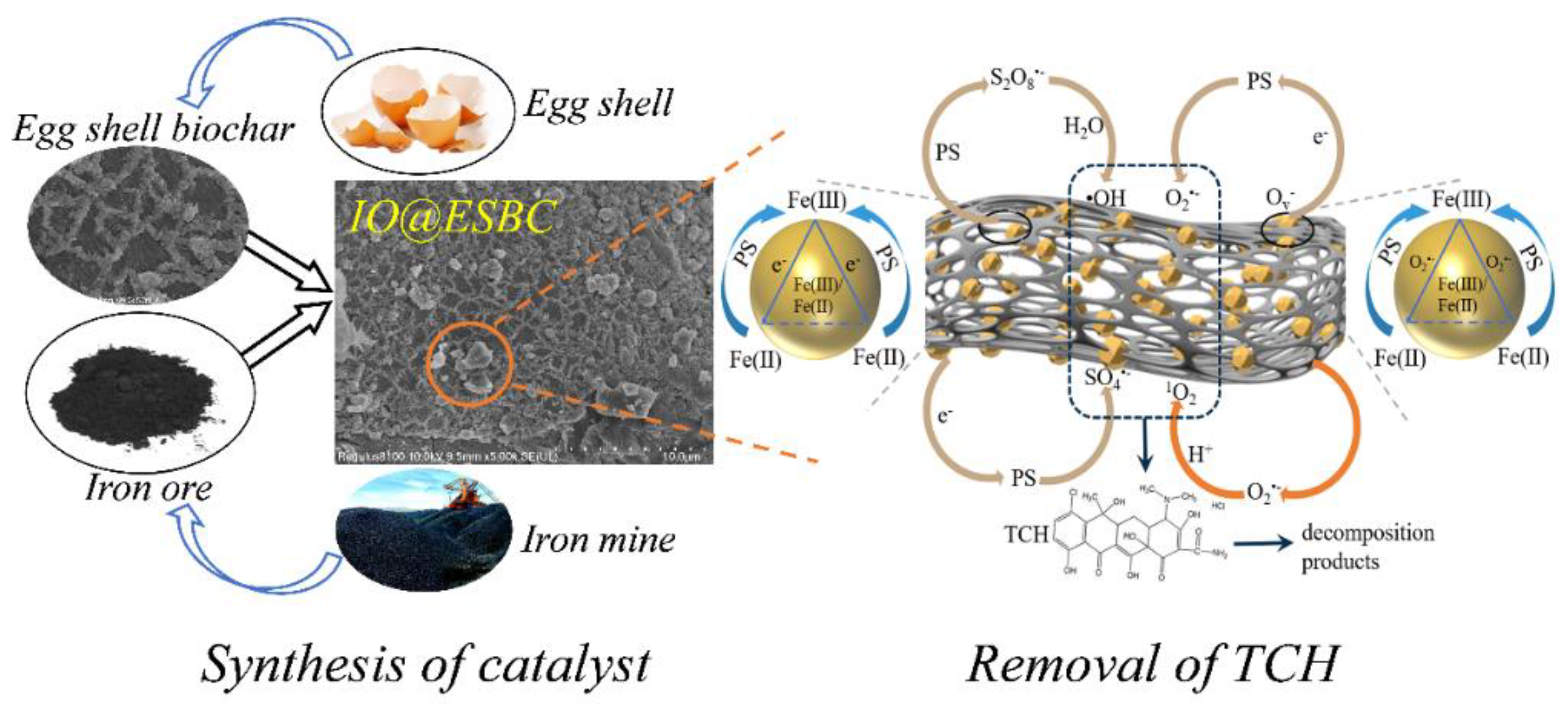 Catalysts 12 01345 g004