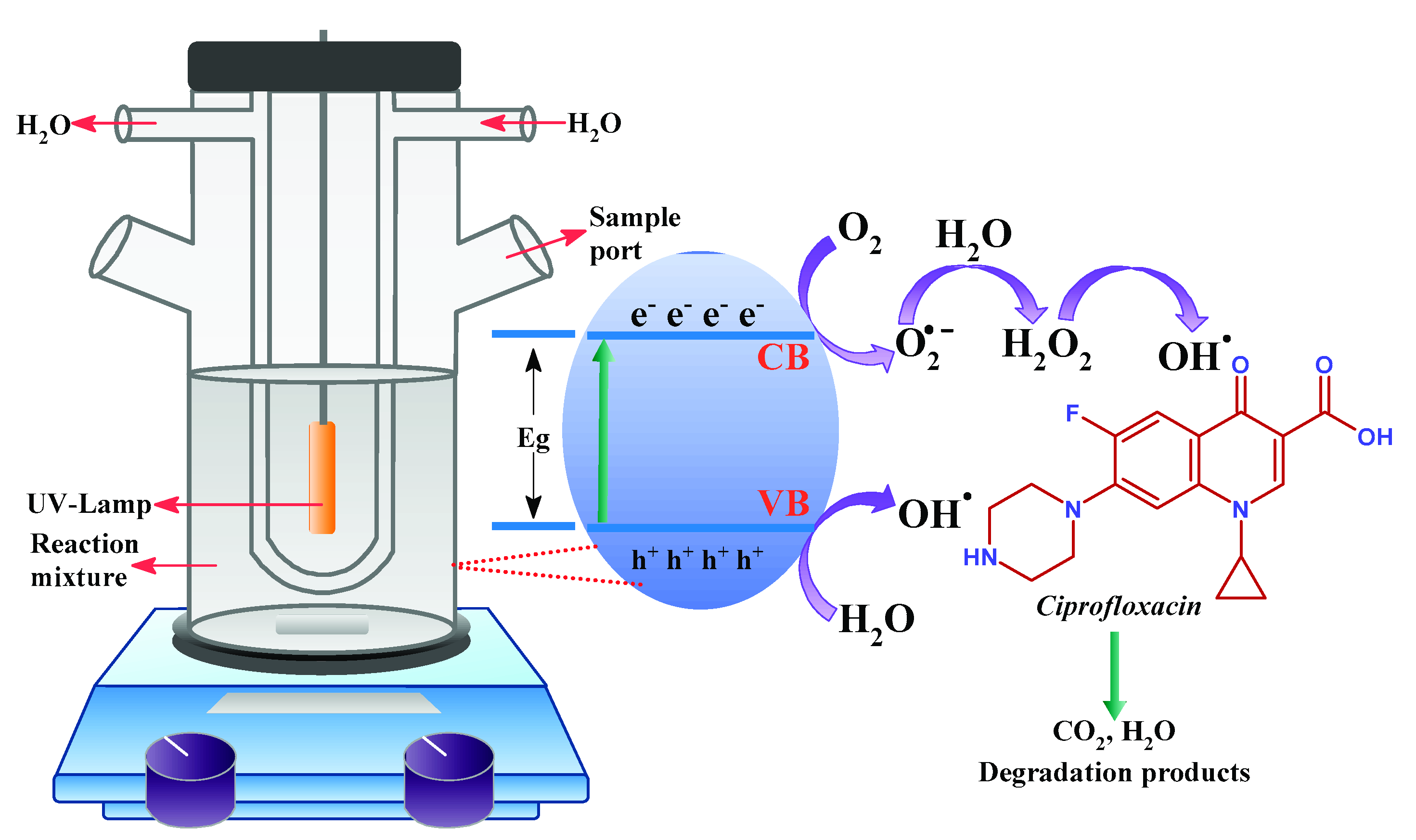 Catalysts 12 01347 g012 Catalysts 12 01347 g012