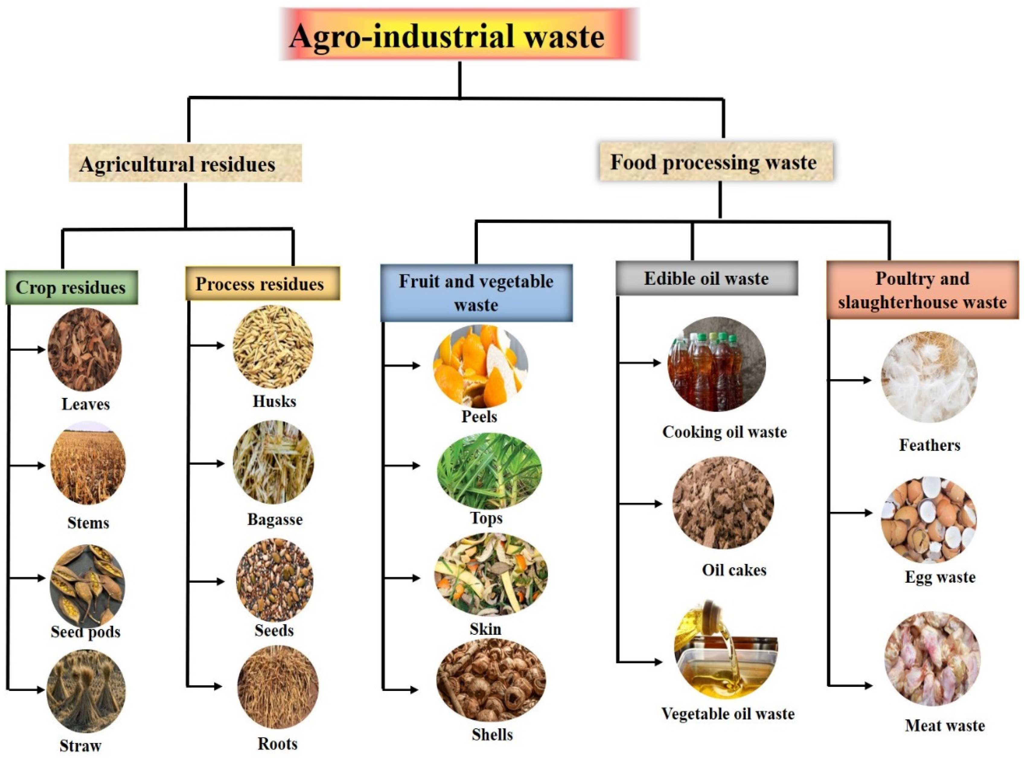 Catalysts 12 01373 g003