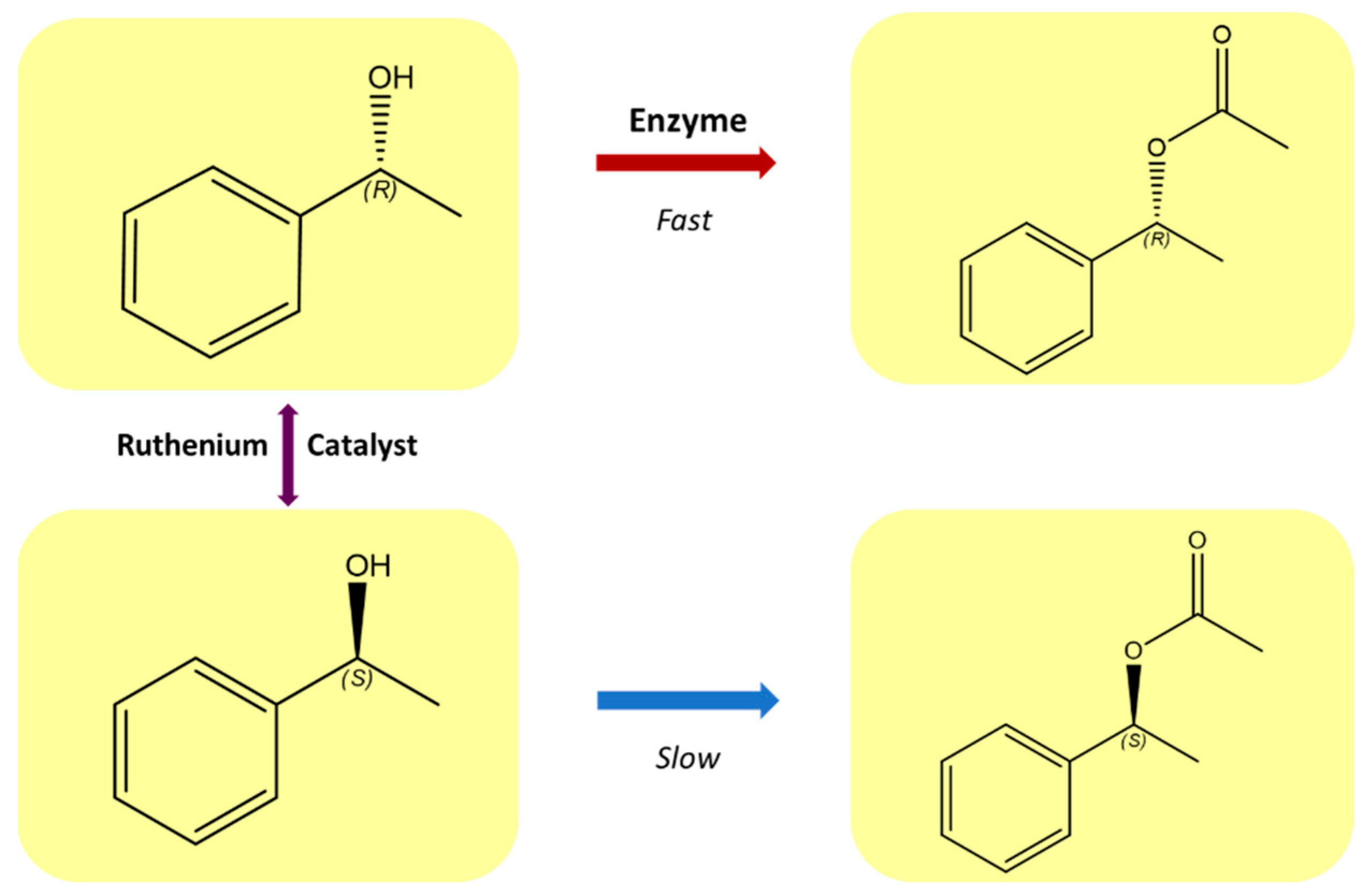 Catalysts 12 01395 g001 Catalysts 12 01395 g001