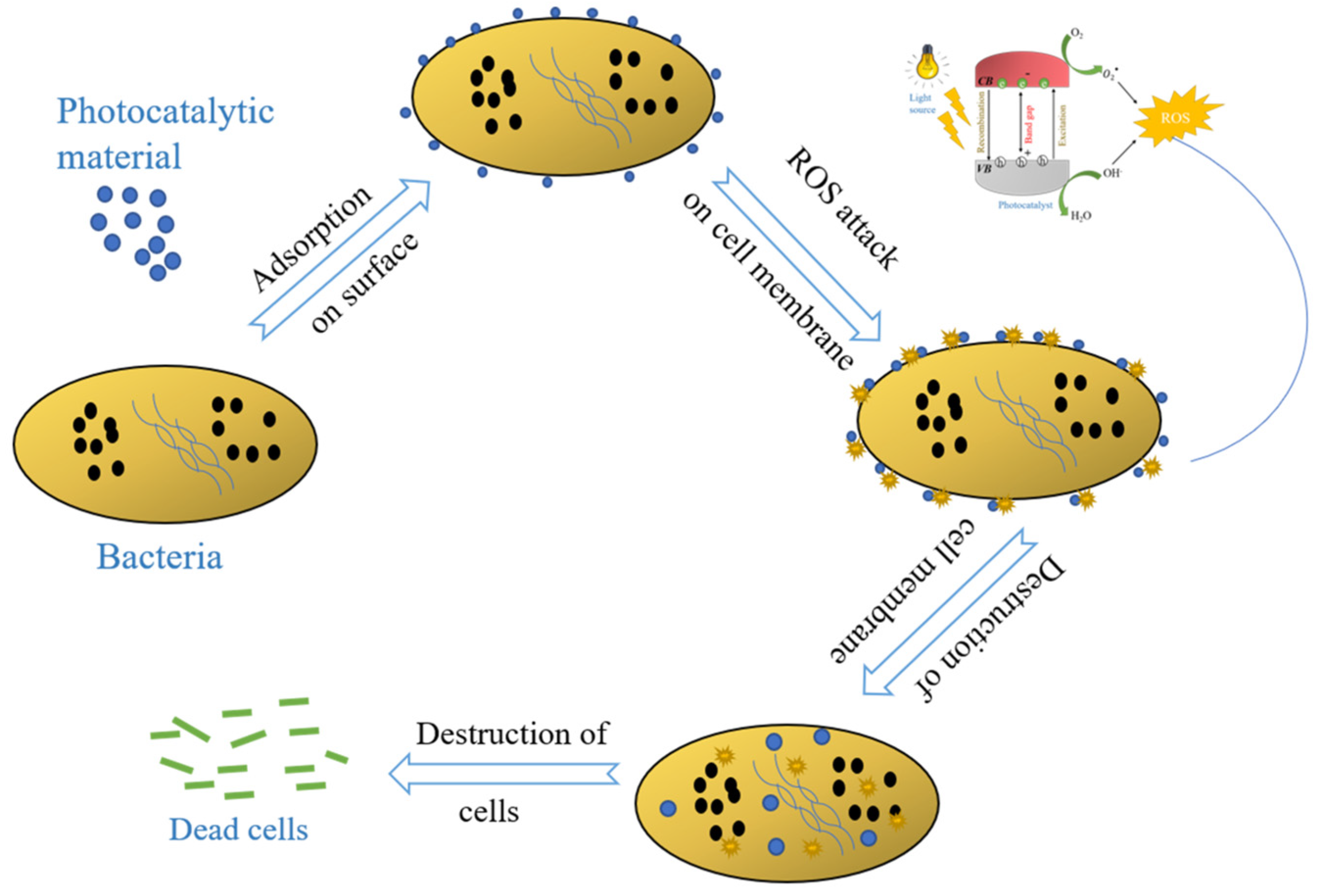 Catalysts 12 01398 g003 Catalysts 12 01398 g003