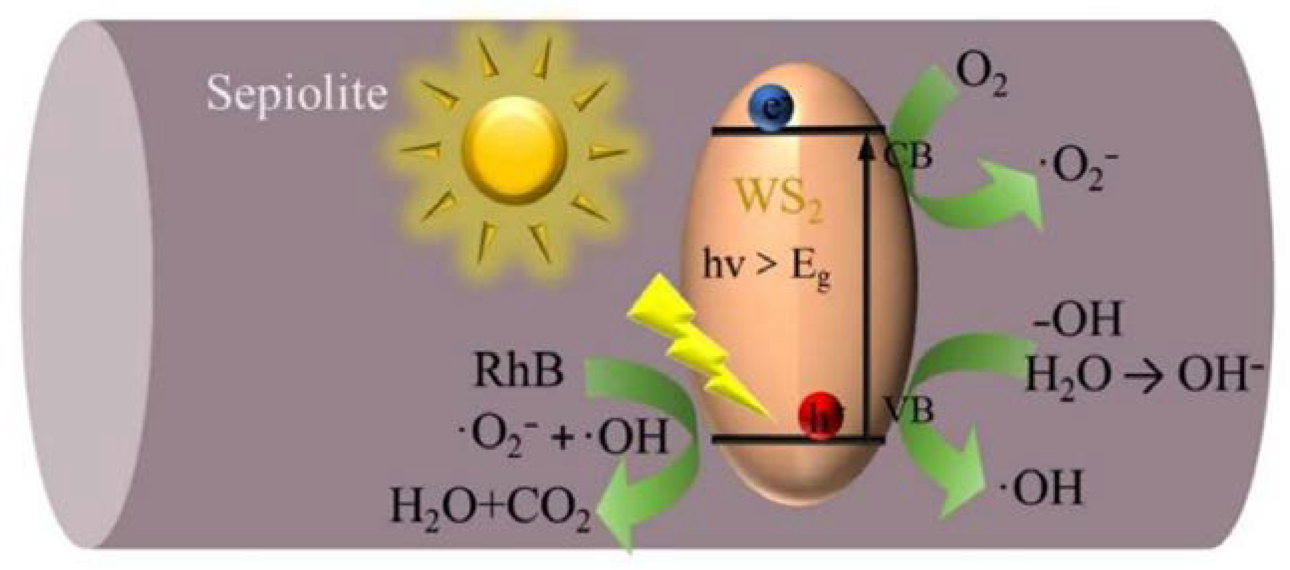 Catalysts 12 01400 g006