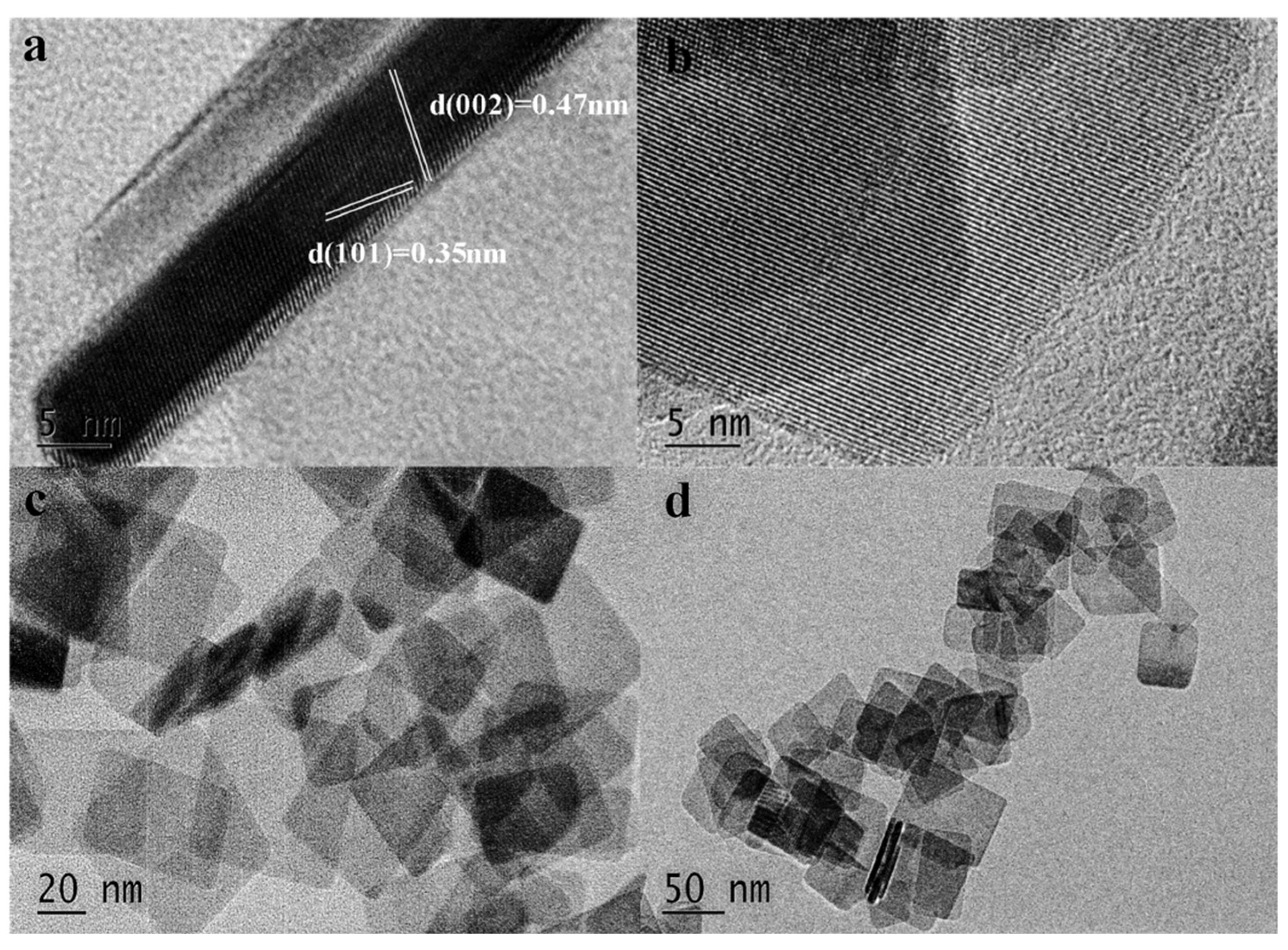 Catalysts 12 01406 g002 Catalysts 12 01406 g002