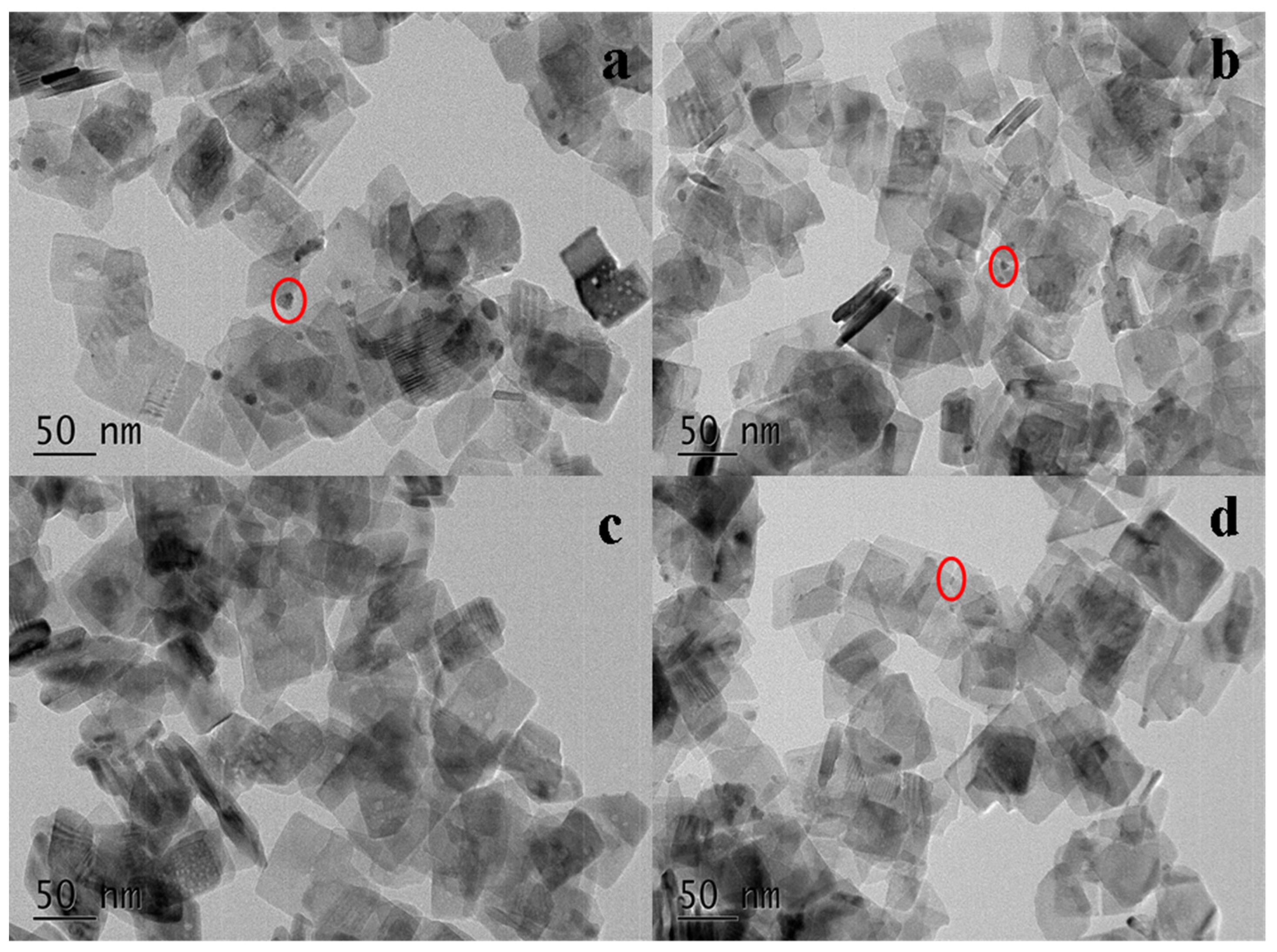 Catalysts 12 01406 g003 Catalysts 12 01406 g003