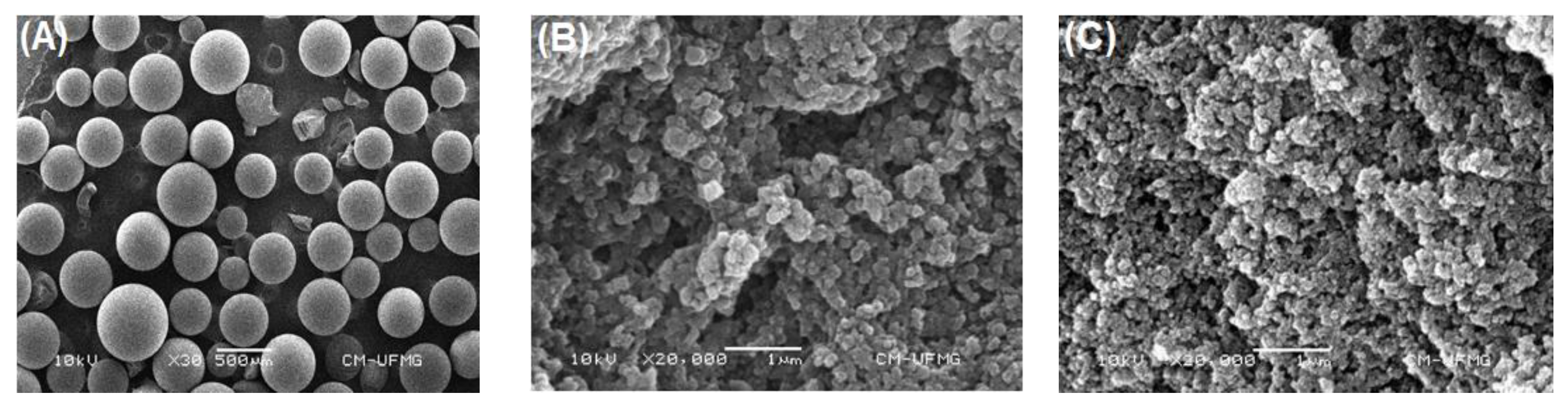 Catalysts 12 01412 g002